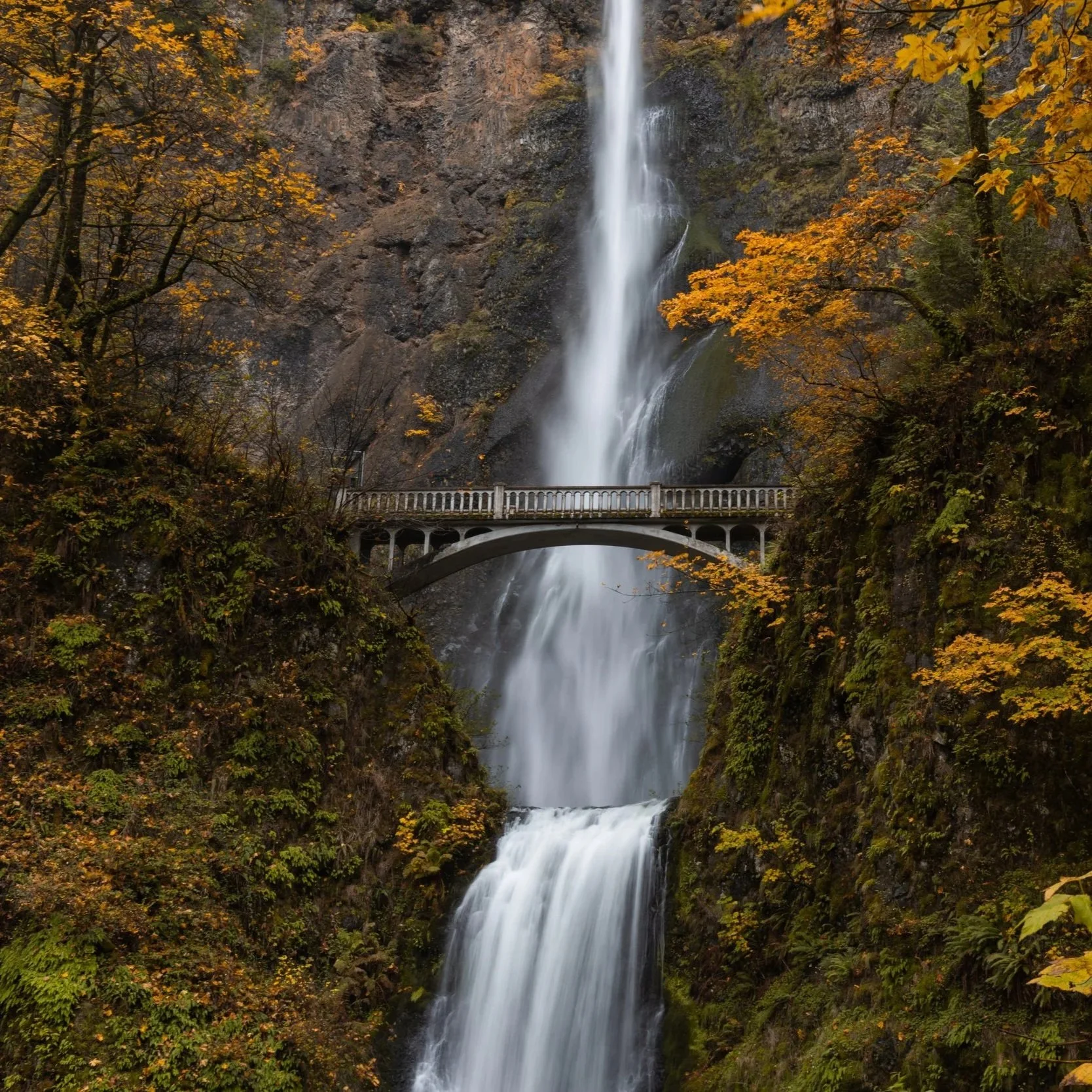 Portland%2C+OR.jpg