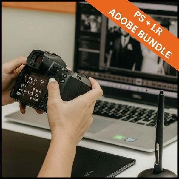 Adobe Bundle for Beginners