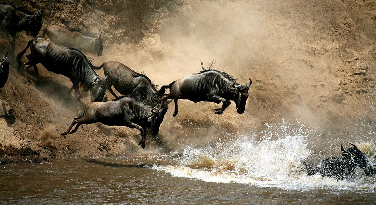 Kenya: 15-Day The Great Migration
