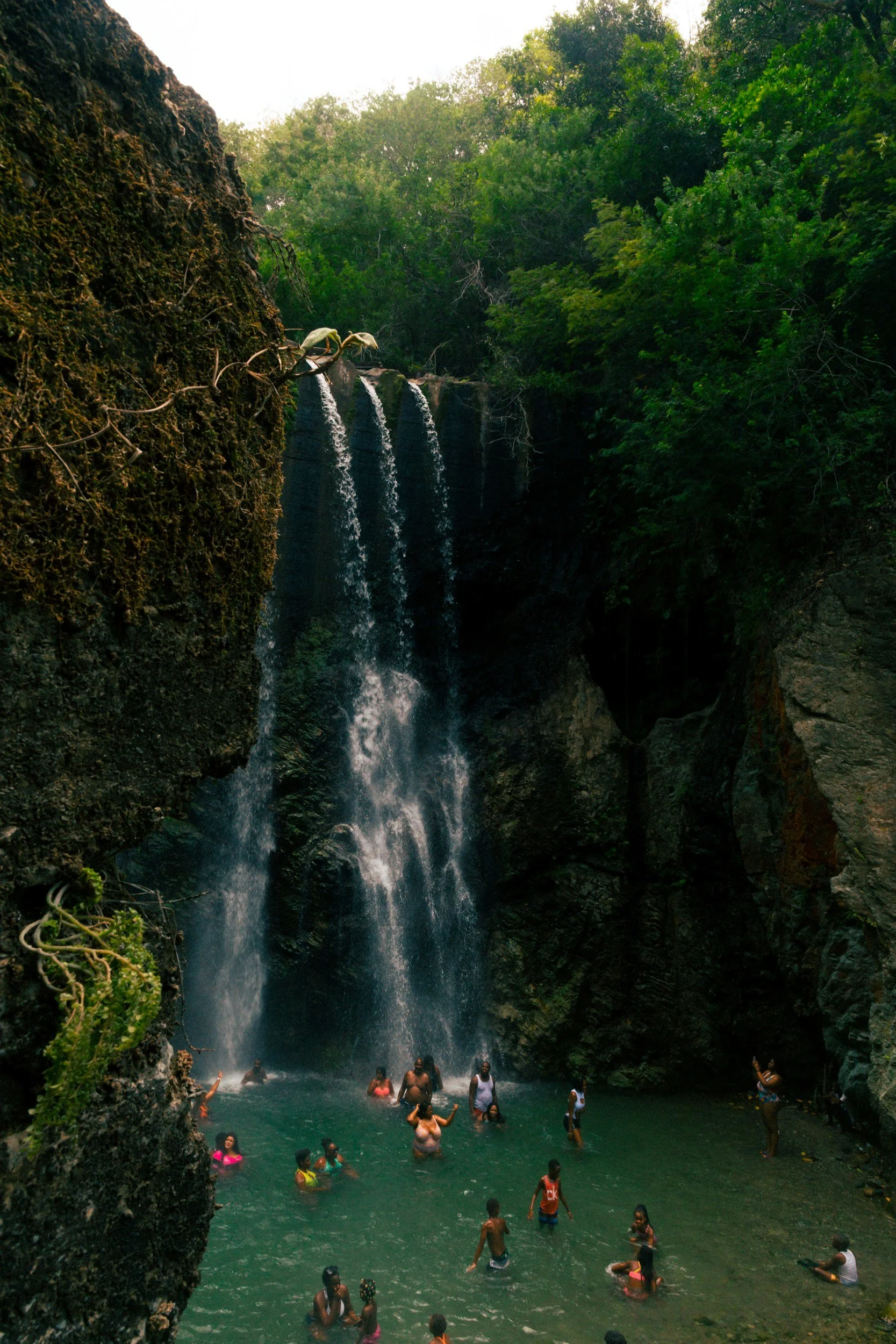 People swimming and enjoying a waterfall in a lush, green forest.