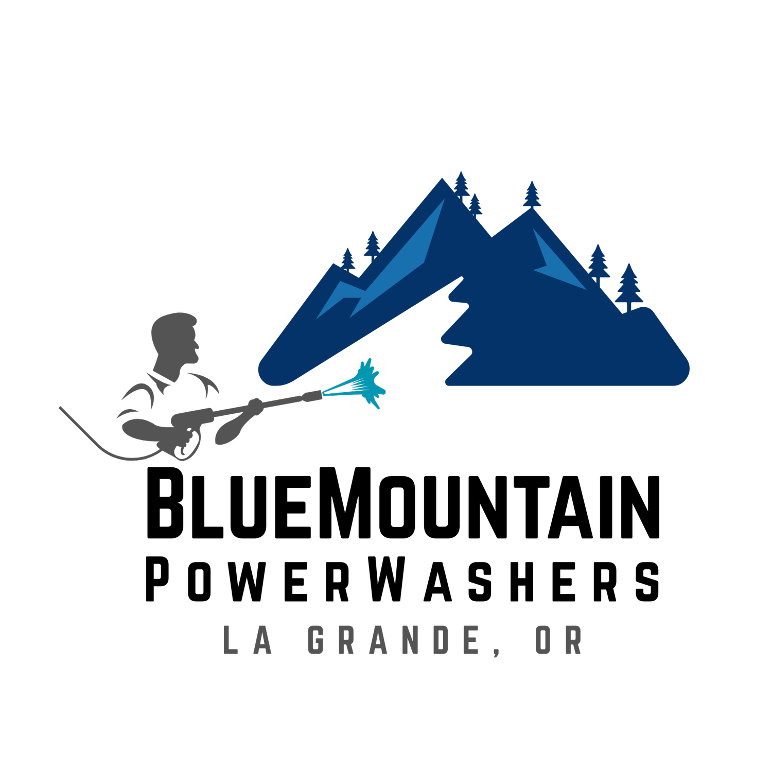 Bluemountainpowerwashers.com