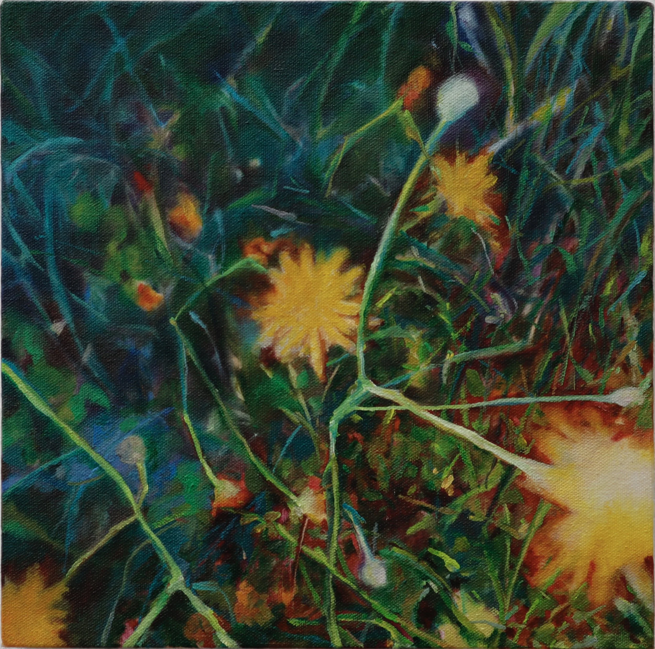 dandelion_fredatan.jpg