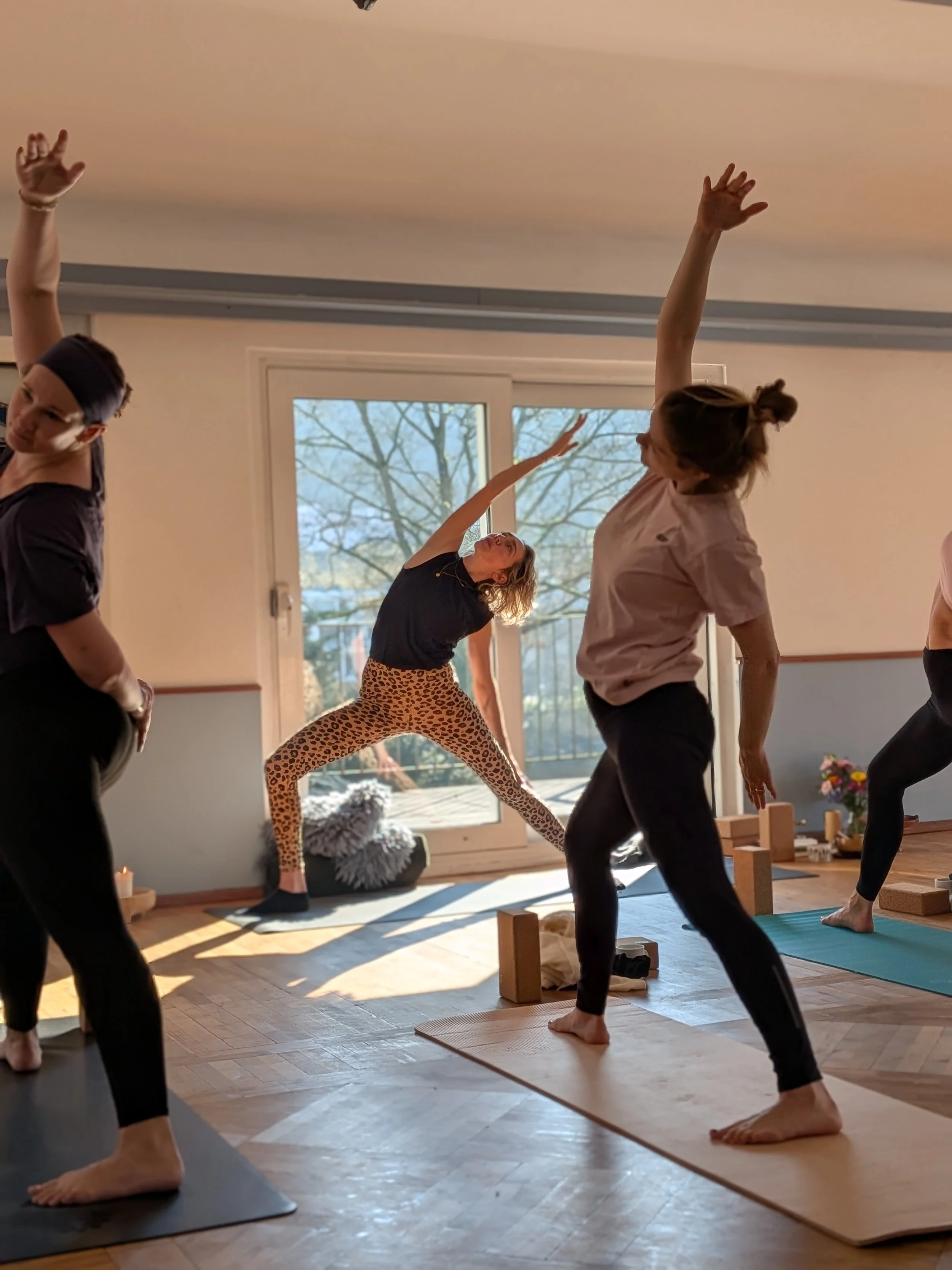 Hatha yoga essen Yoga essen werden Yoga anfänger essen Hatha yoga essen Vinyasa yoga  Yoga in der nähe