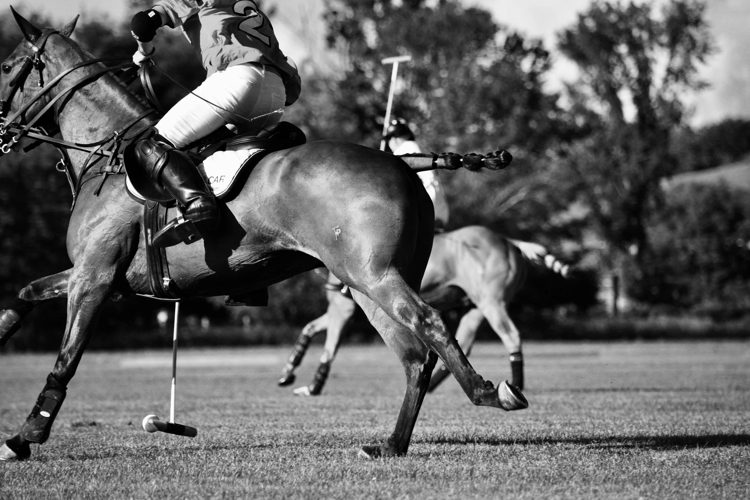 Black and white photo of polo players riding horses, one with a mallet in hand, on a grass field.