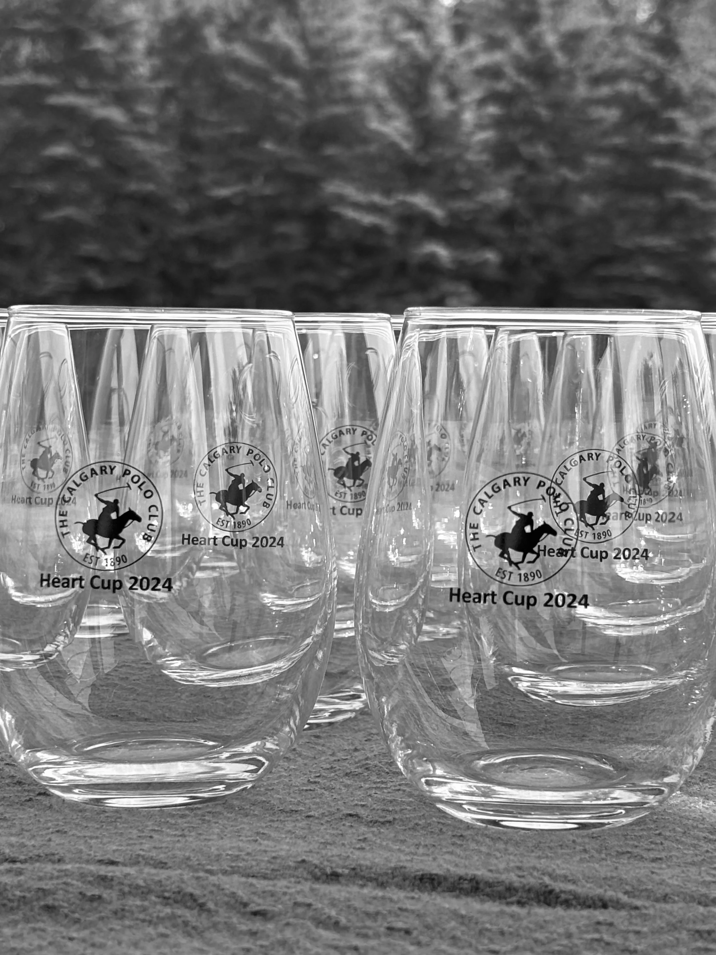 Fifteen clear glasses with a logo that reads 'The Calgary Polo Club Heart Cup 2024,' featuring a polo player riding a horse, arranged on a surface with a blurred outdoor background.