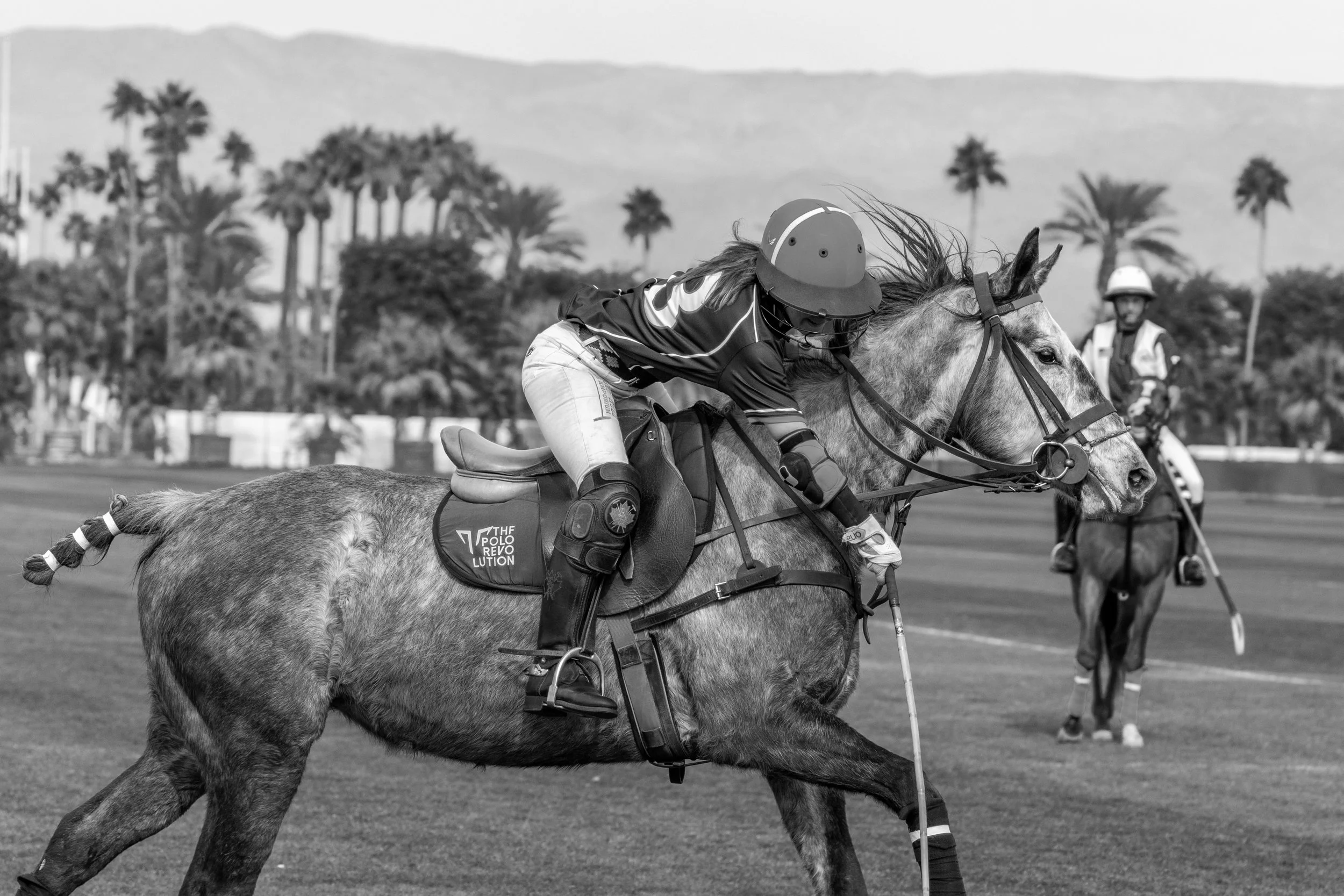 A polo player riding a horse on a field with palm trees in the background, black and white image.