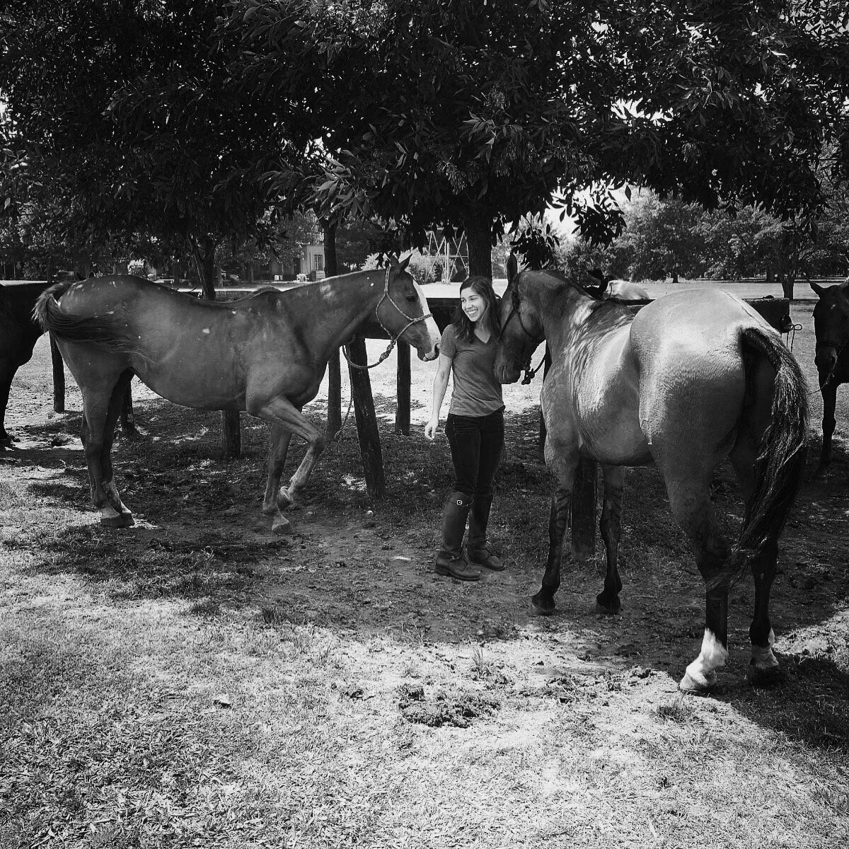 A young woman standing between two horses under a large tree, smiling and touching noses with one of the horses, in a farm setting.