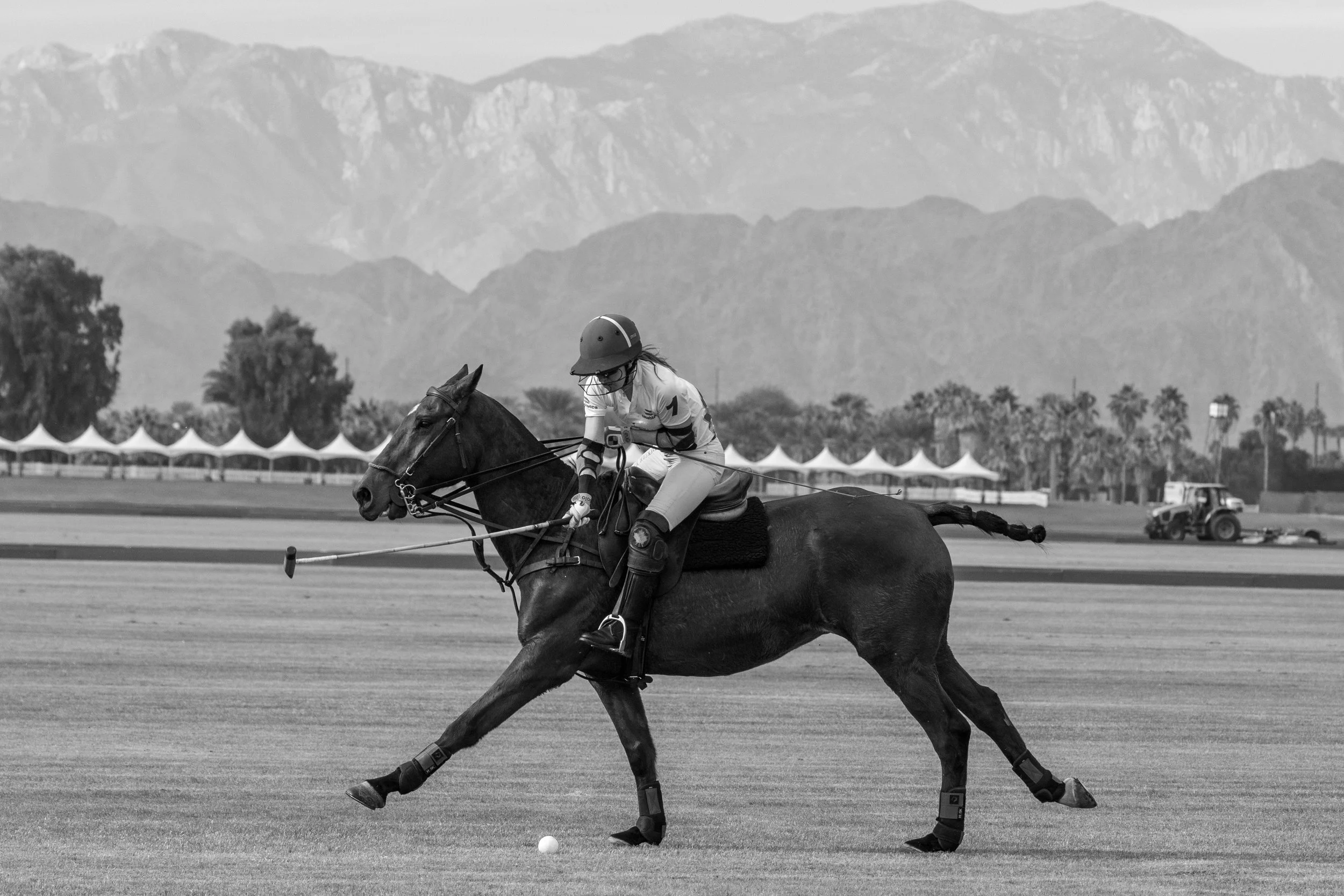 A polo player riding a horse on a polo field, about to hit a ball with a mallet, with tents, trees, and mountains in the background.