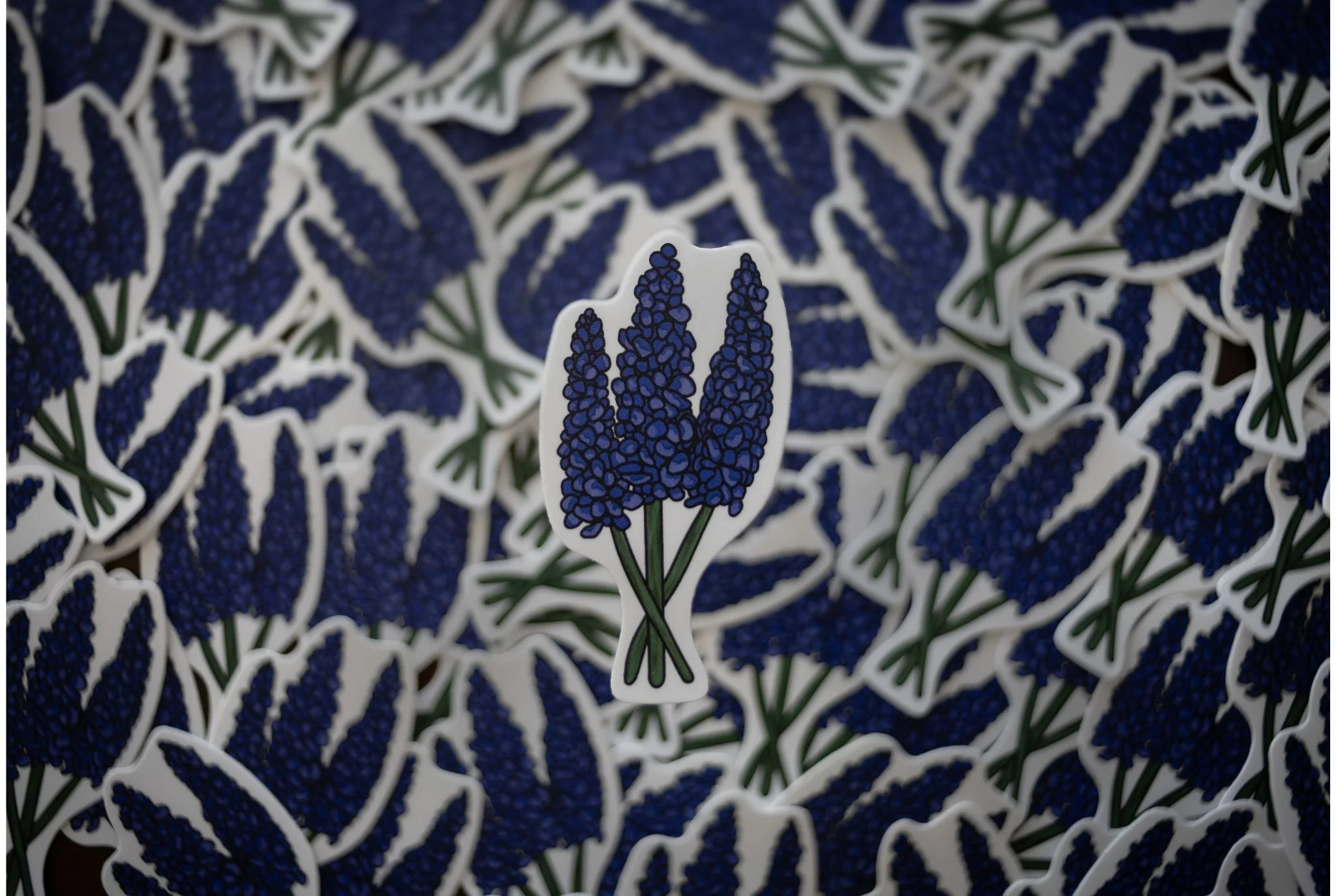 Bluebonnet Sticker