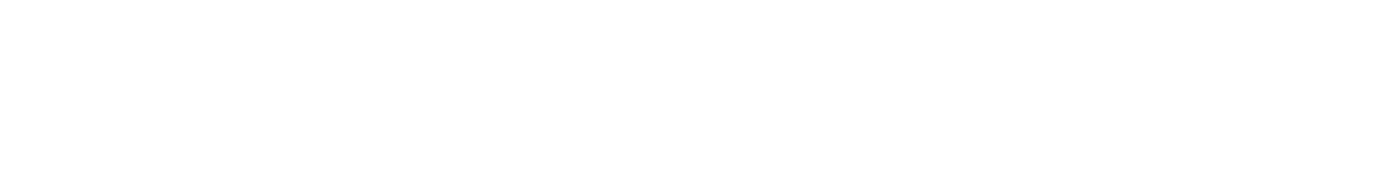 The Brave Center