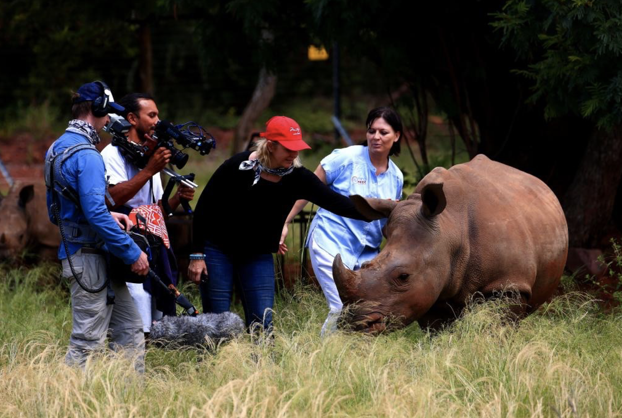 Screen Shot 2019-03-21 at 8.42.43 AM.png