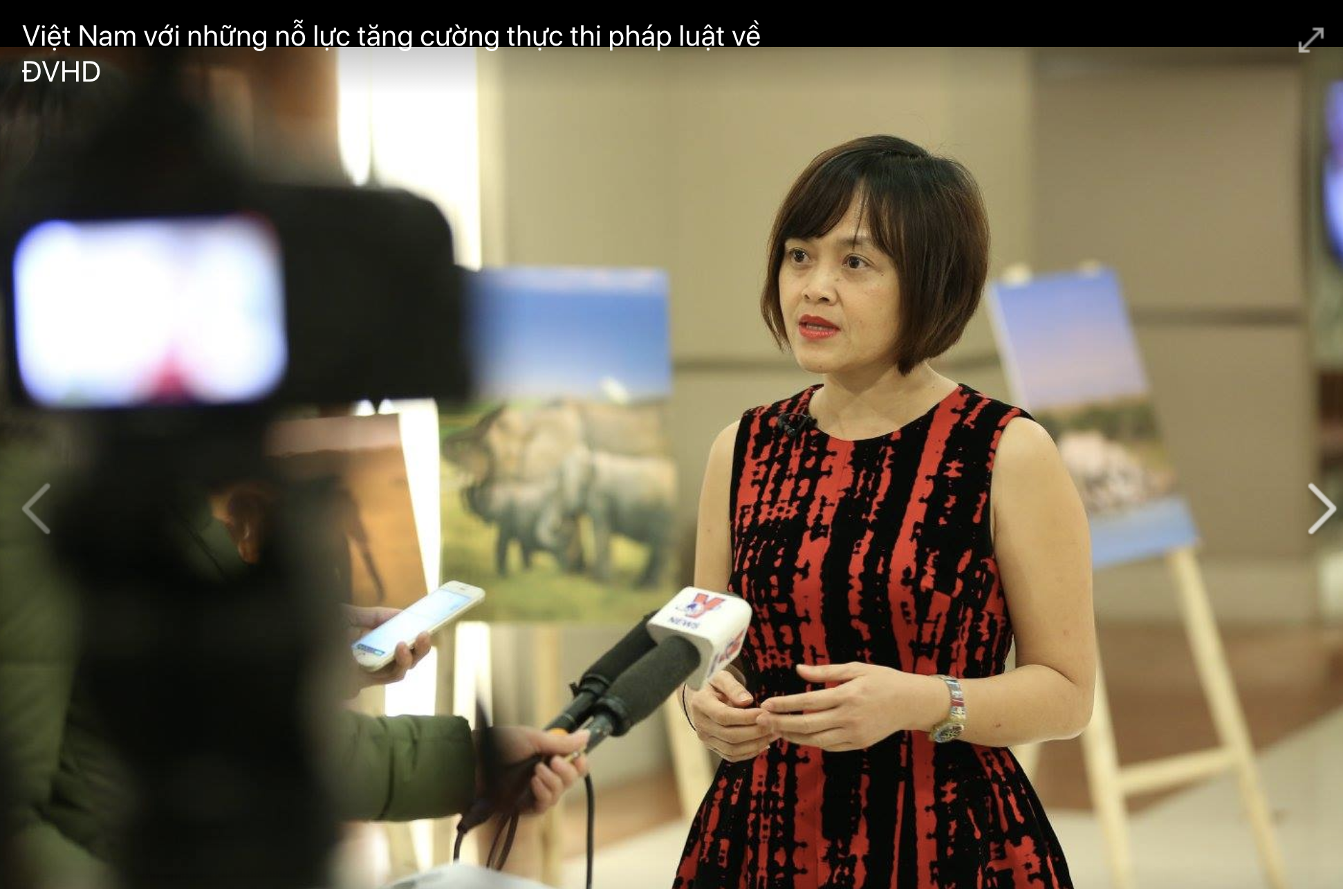 Hong Hoang1.png