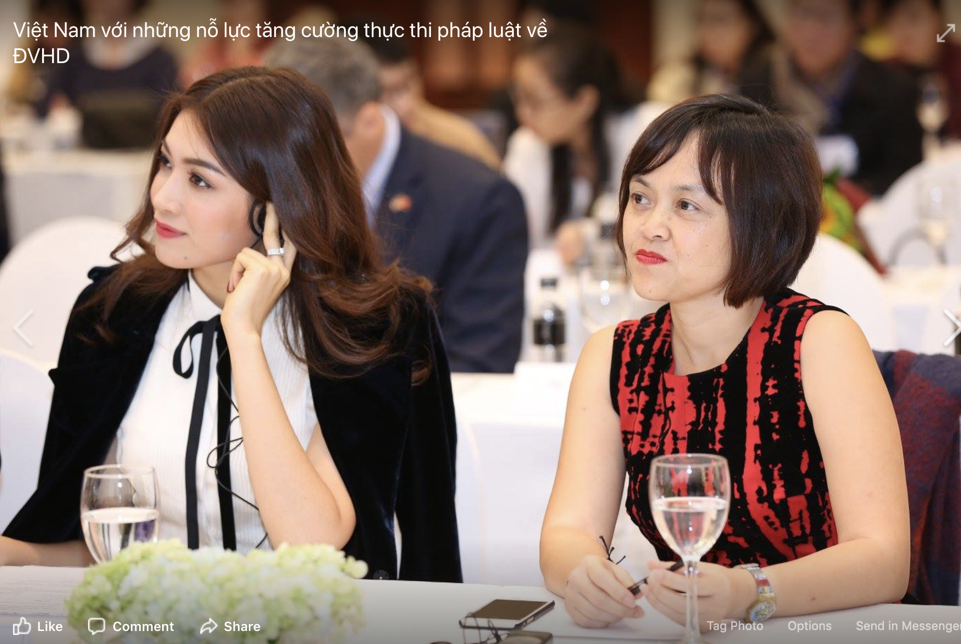 9330 Hong Hoang & VIP photo.png