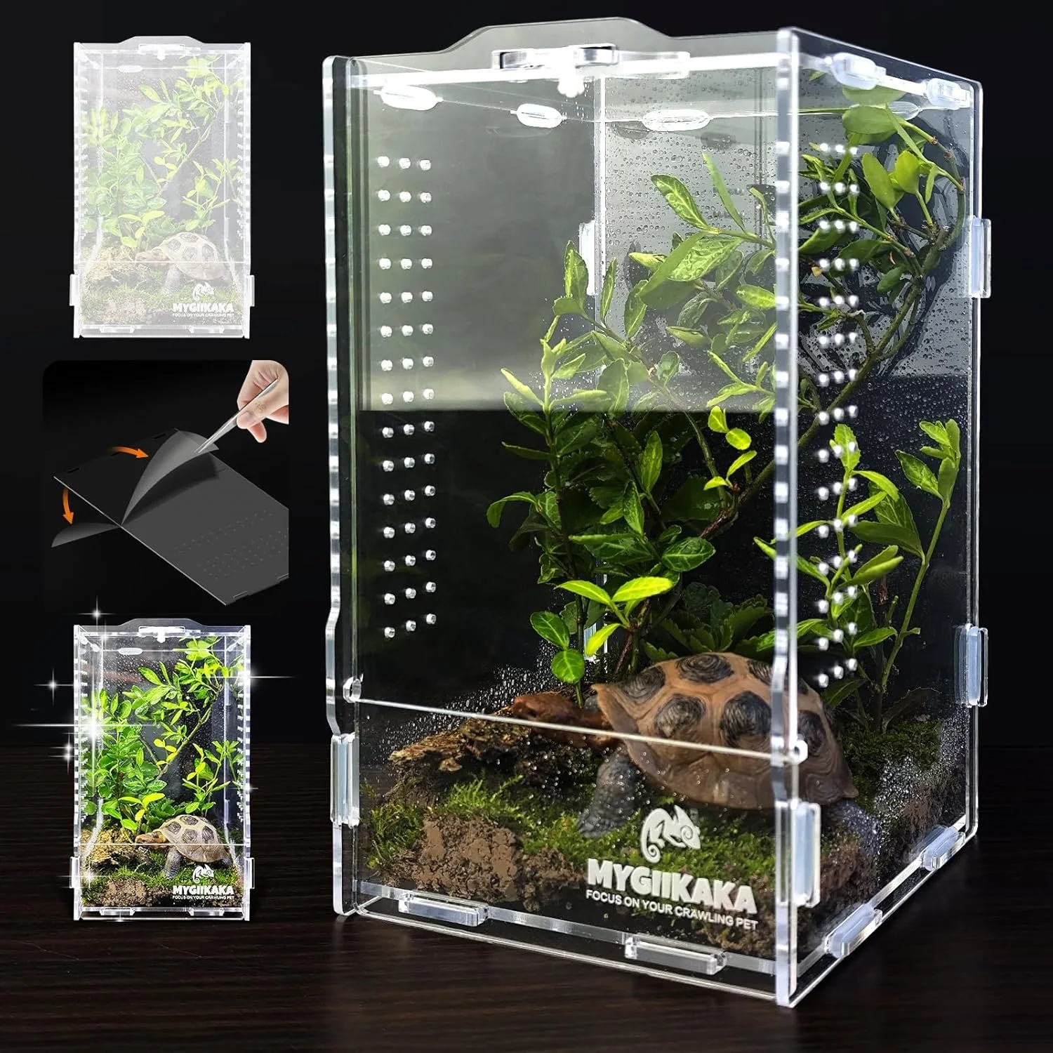 Blank Enclosure with Latching Door