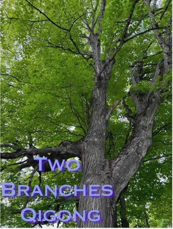 Two Branches Qigong