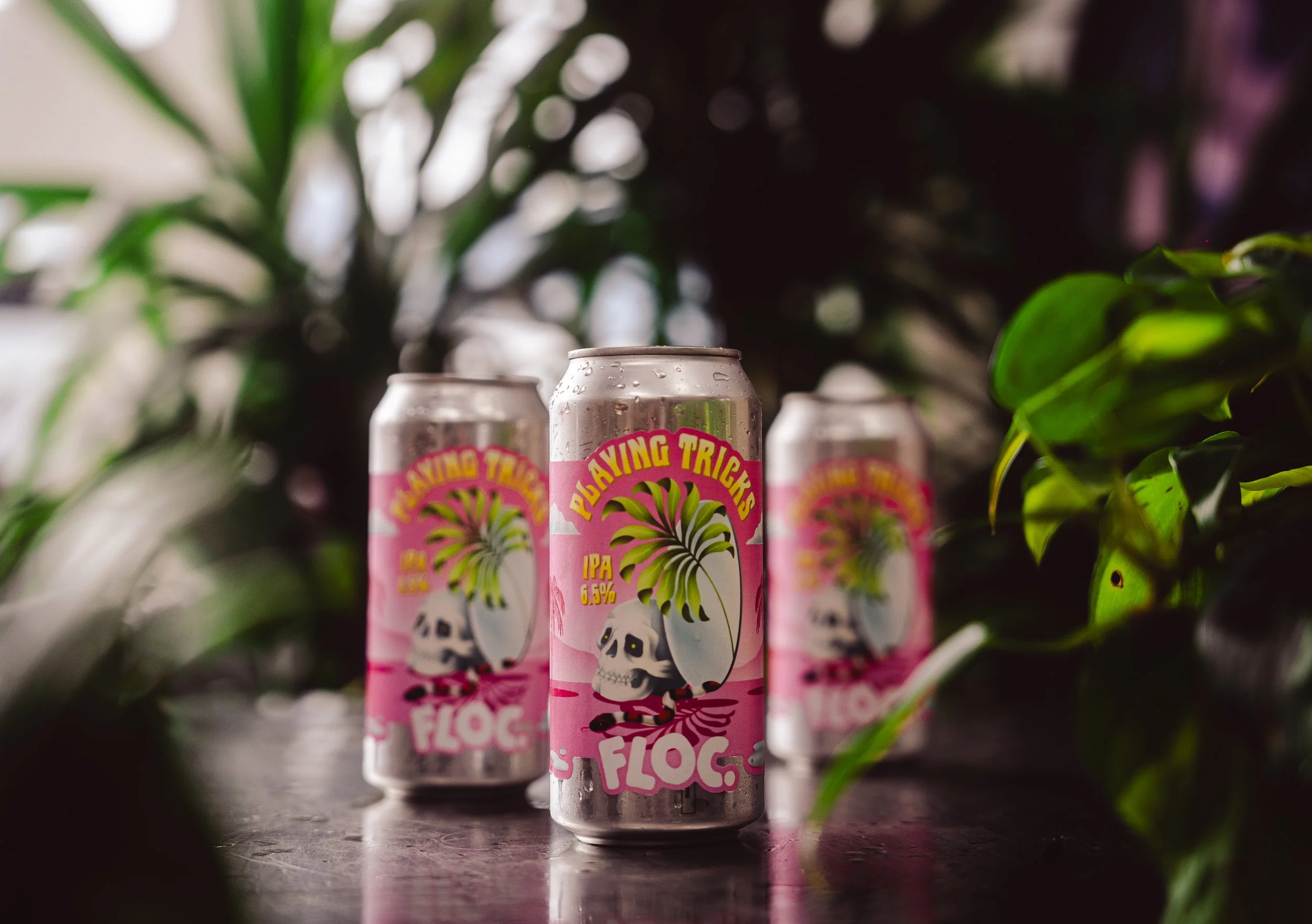 Three cans of Playing Tricks IPA beer with pink label featuring a skull, a palm tree, and pink and yellow text, placed on a dark surface surrounded by green plants.