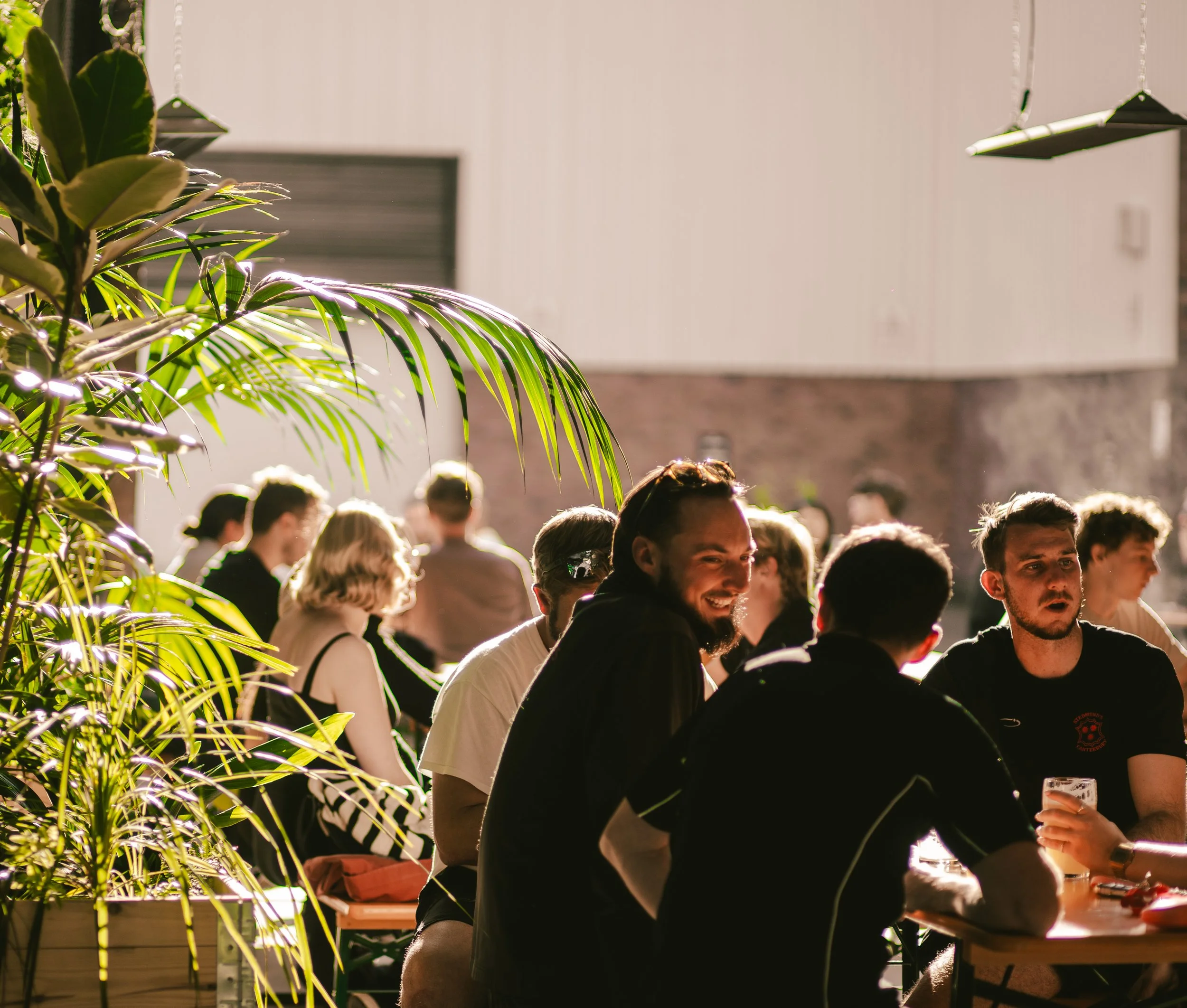 A group of young adults socializing and sitting at tables outdoors with sunlight illuminating their faces, greenery and plants in the foreground, and a modern building in the background.