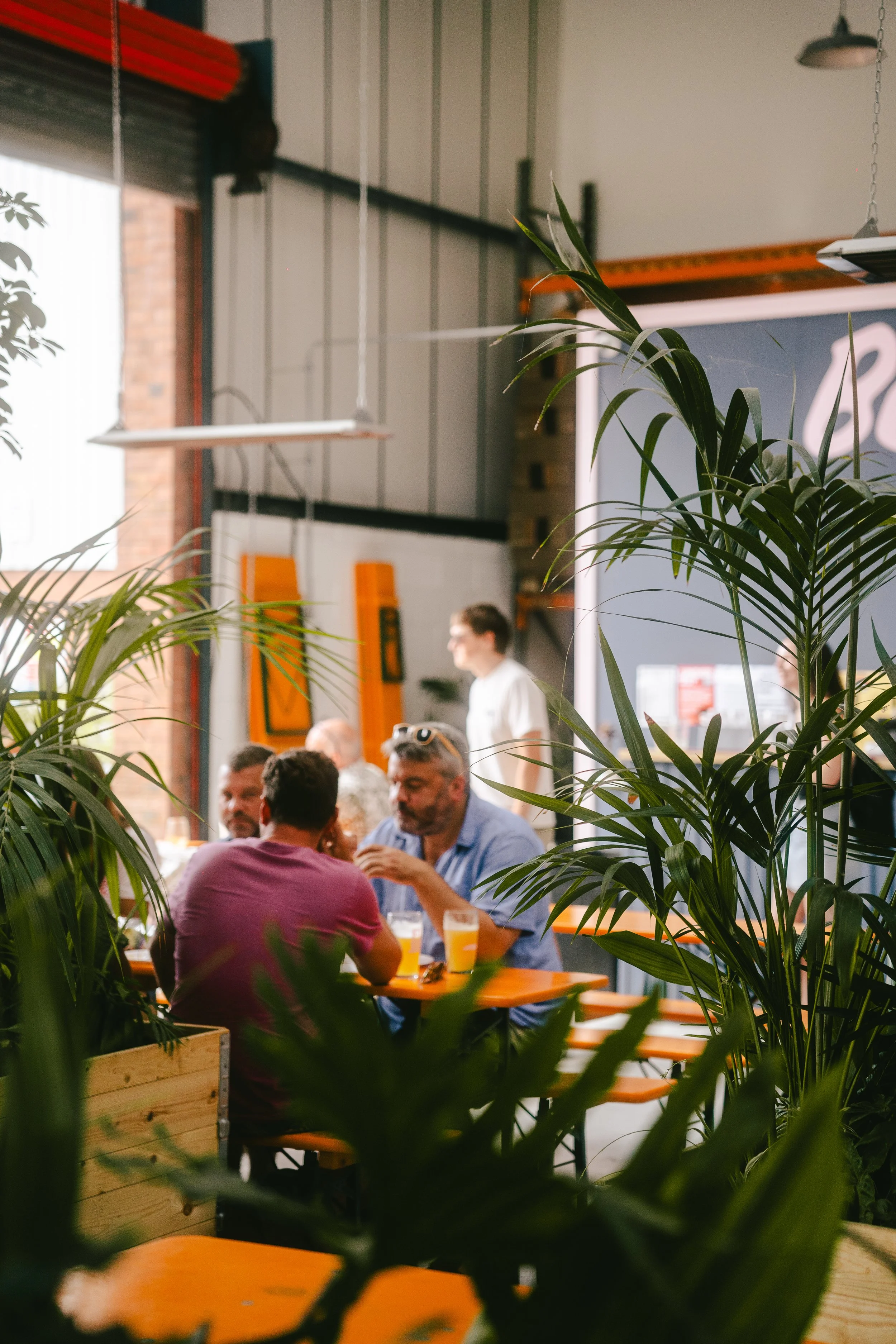 People dining in a modern restaurant with plants and large windows.