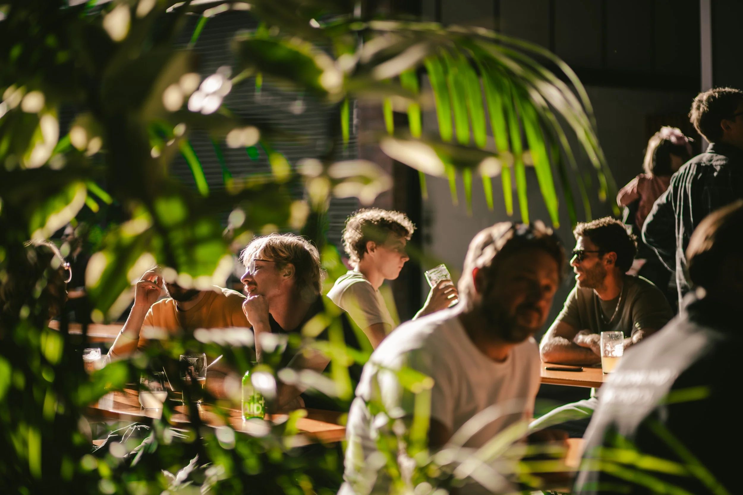 People enjoying drinks and conversation at a table in a dimly lit indoor space, partially obscured by large green plants.