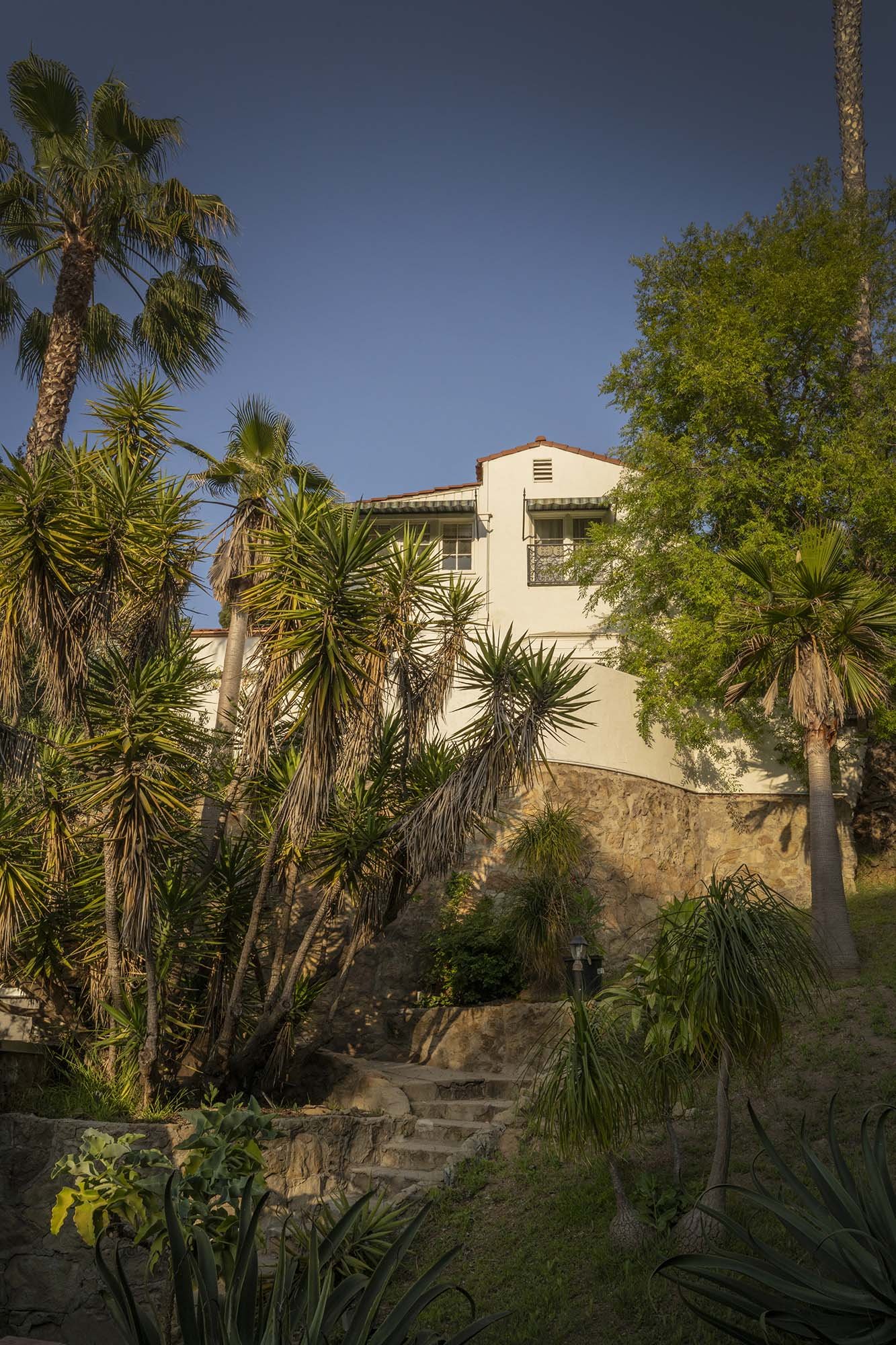 PL6014-007-hillside-exterior-yuccas-palms-stone-steps.jpg