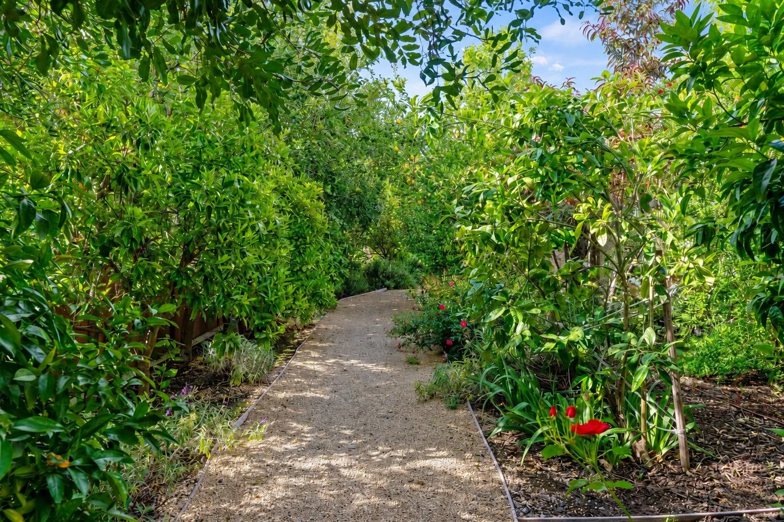 PL3608_22_Wooded_Path.jpg