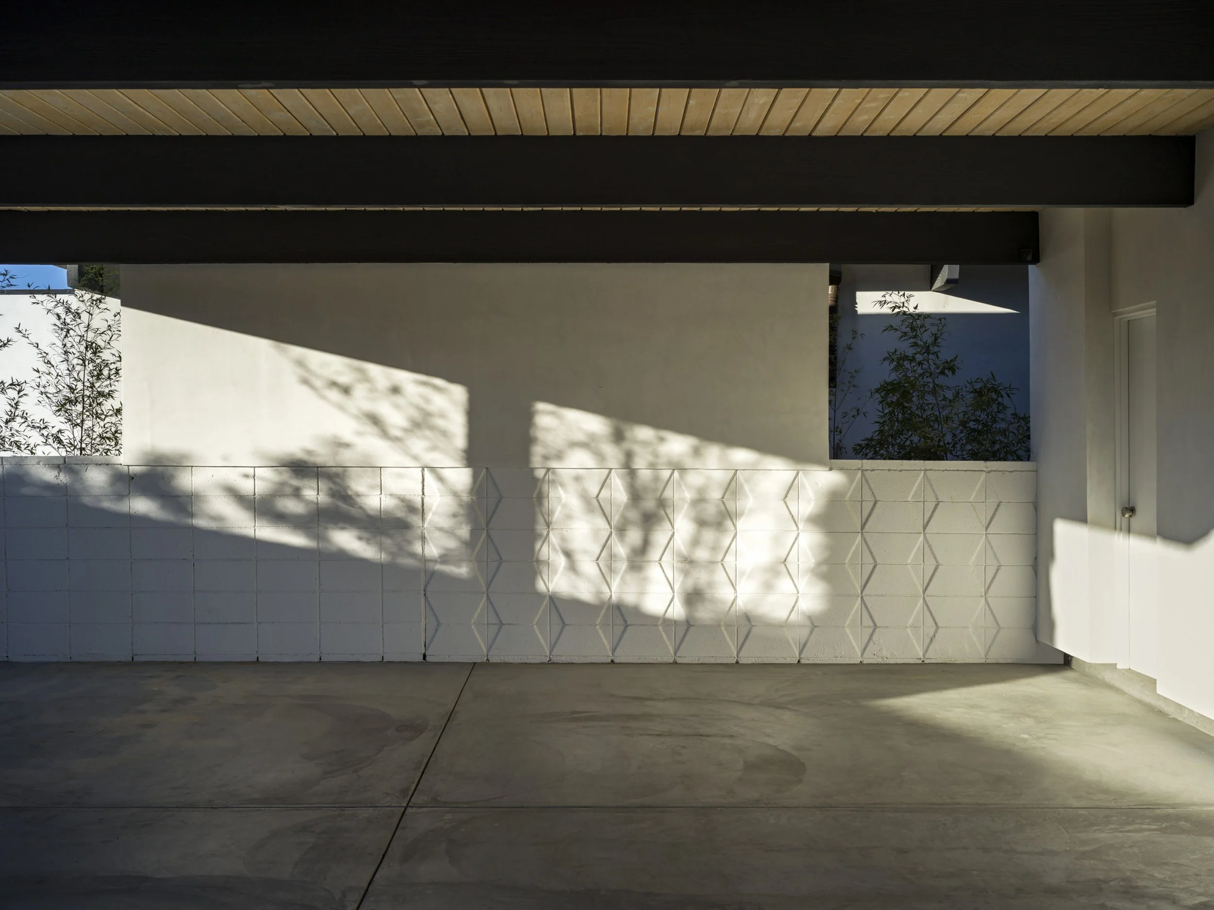 SP_NEUTRA_F19-scaled.jpg