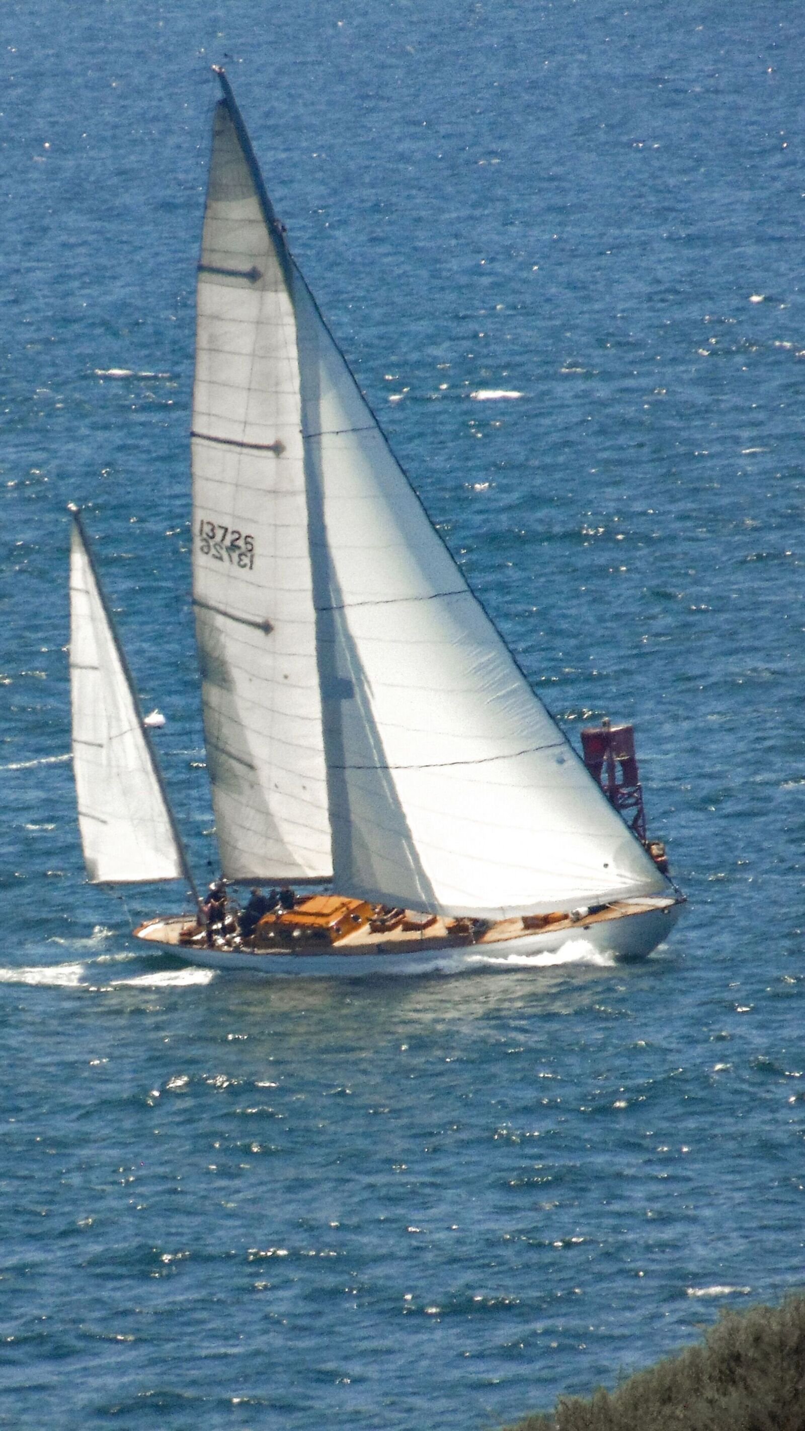 Olinka-10.jpg