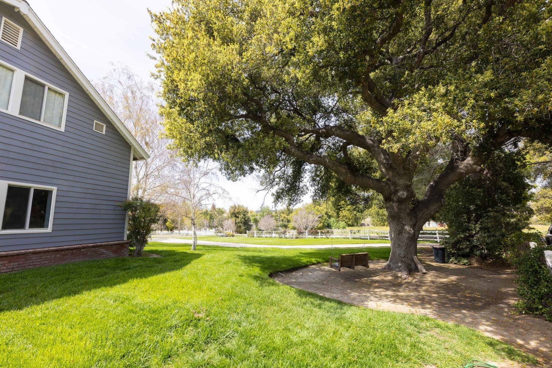 049-sand-canyon-side-yard-oak.jpg