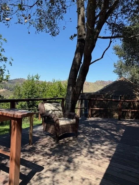 PL-1505-topanga-treetop-guesthouse-012.jpg