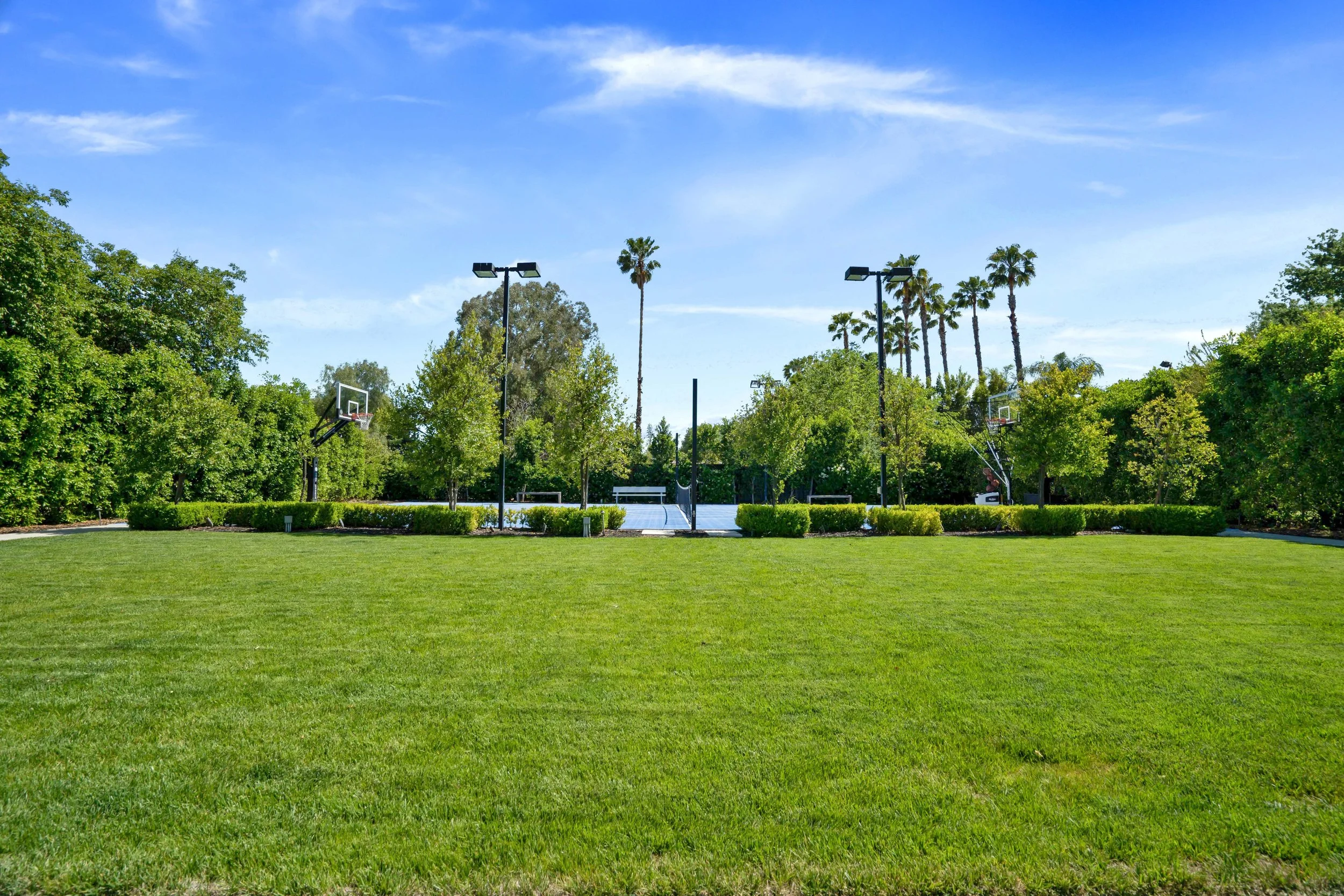 Collins-35-grass area.jpg