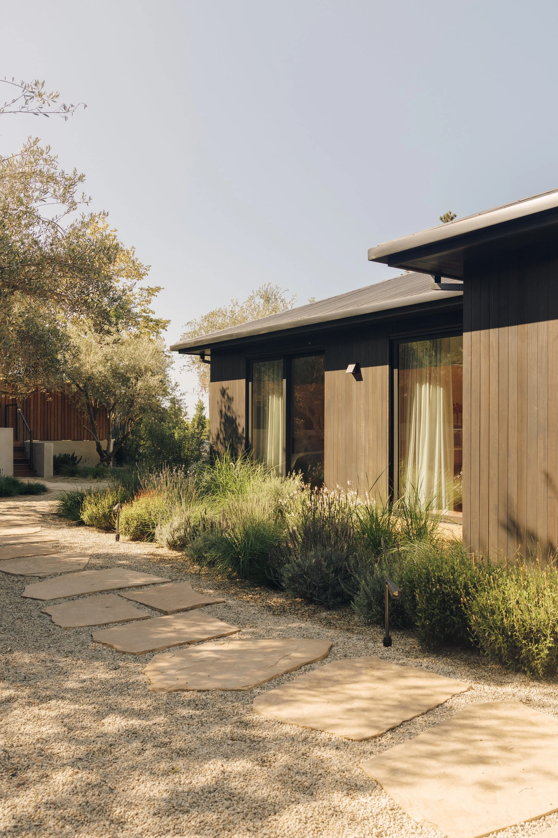 Side elevation and landscaped garden path