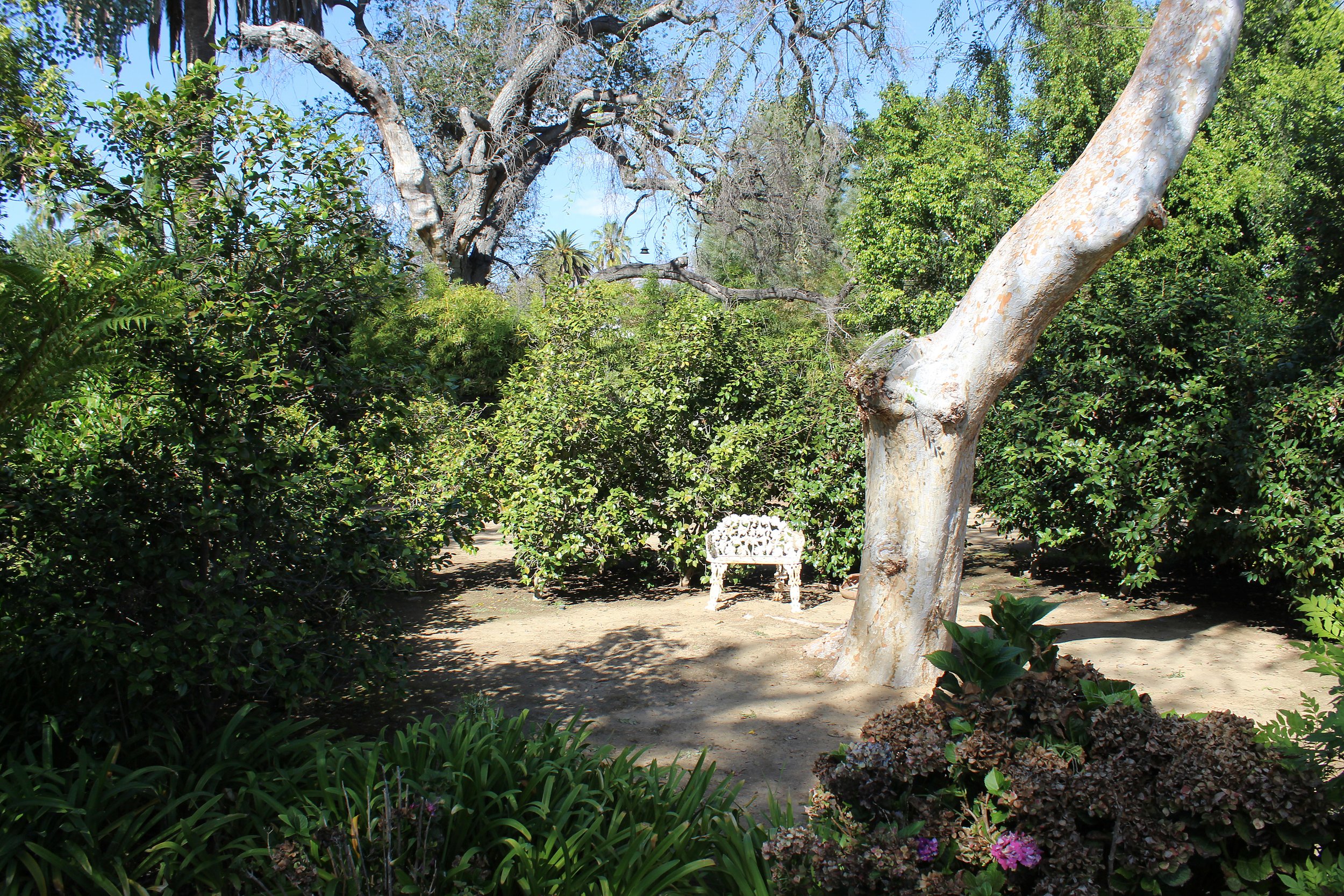 32_PL-4106_shaded-garden.jpg