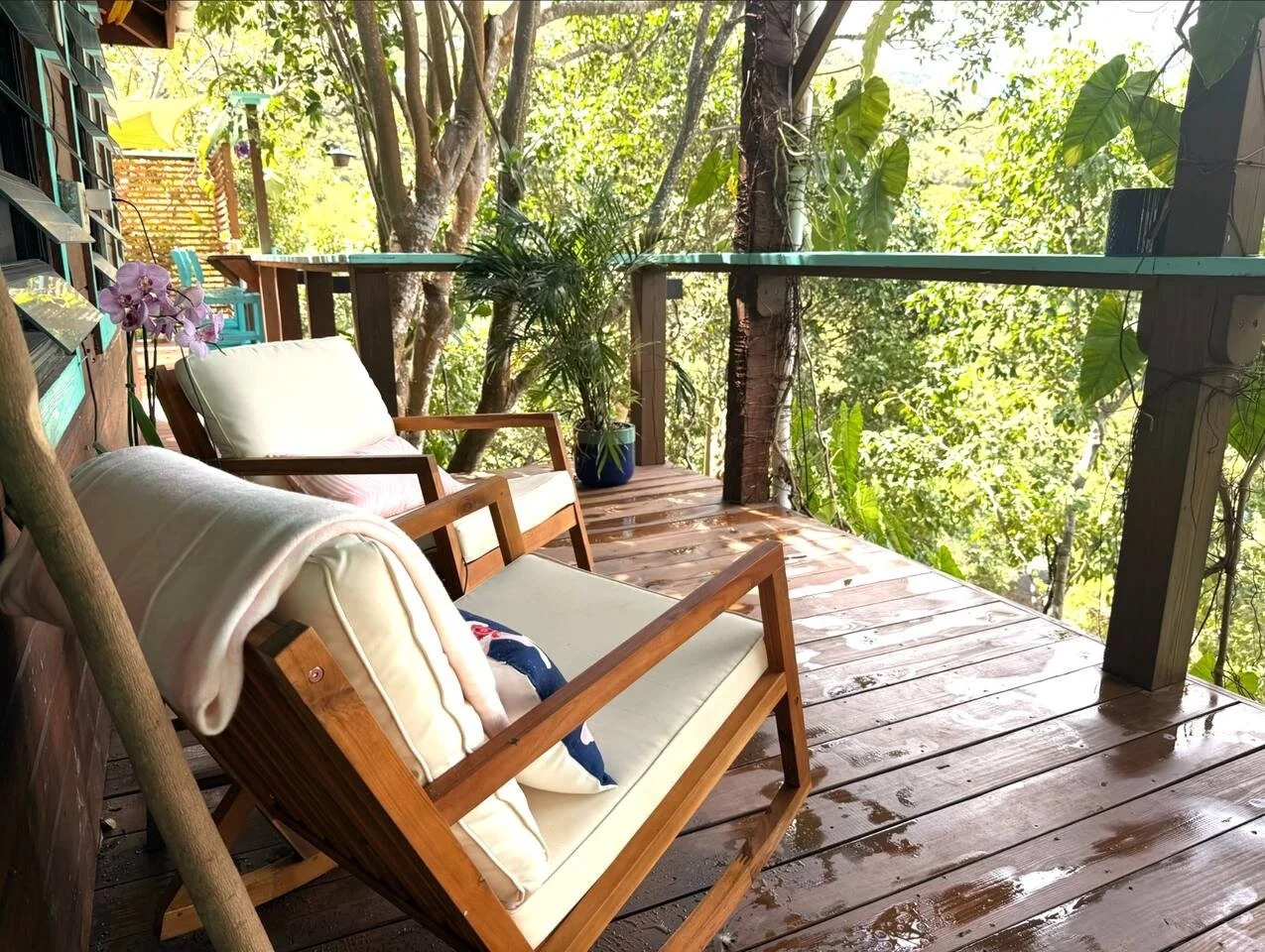 PL-9001-st-john-tropical-ocean-view-villa-013.jpg