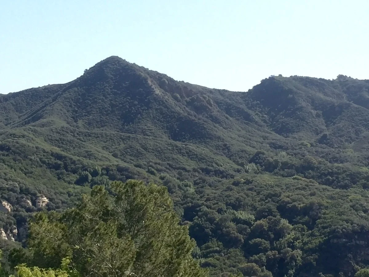 PL-1504-topanga-canyon-view-cabin-025.jpg