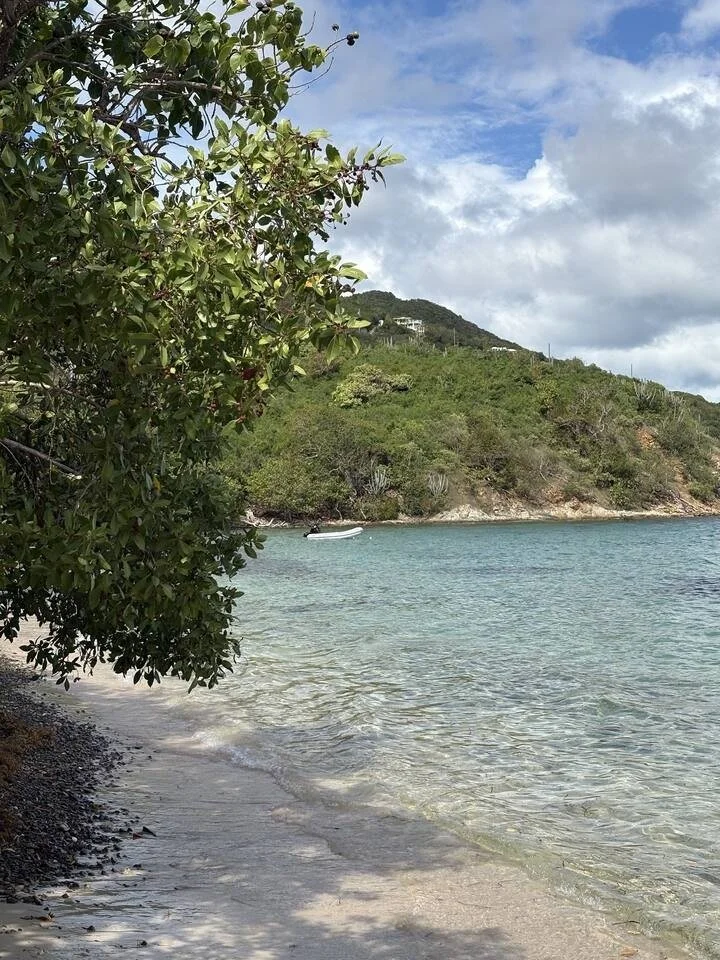 PL-9001-st-john-tropical-ocean-view-villa-056.jpg