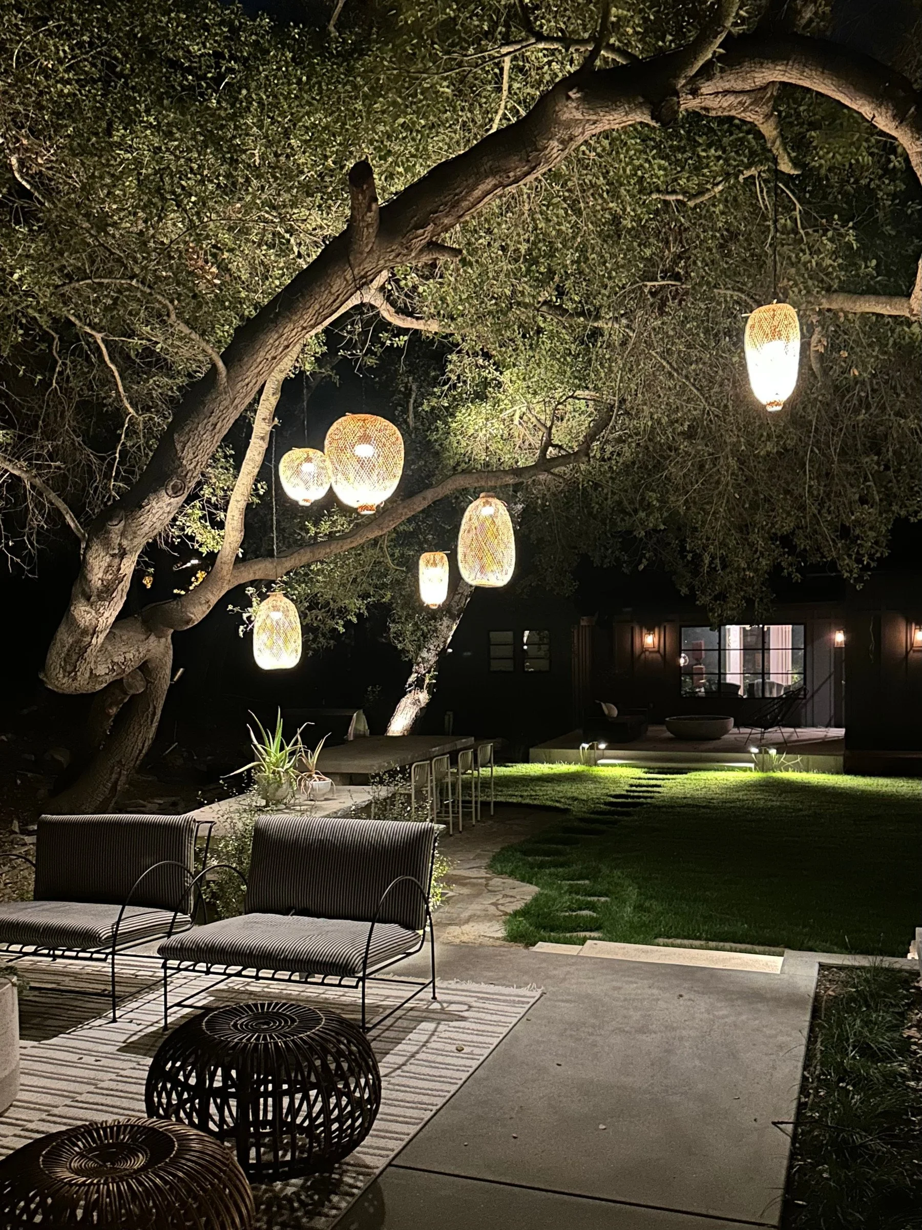 Lanterns hanging in an oak tree above the terrace. | PL-3803