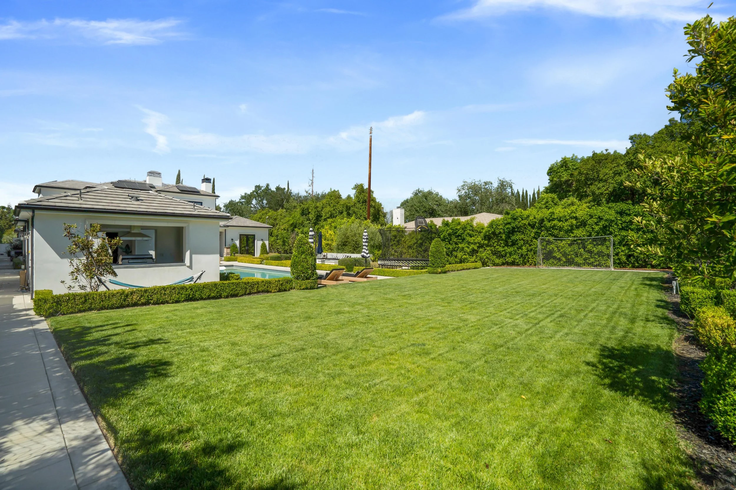 Collins-44-grass.jpg