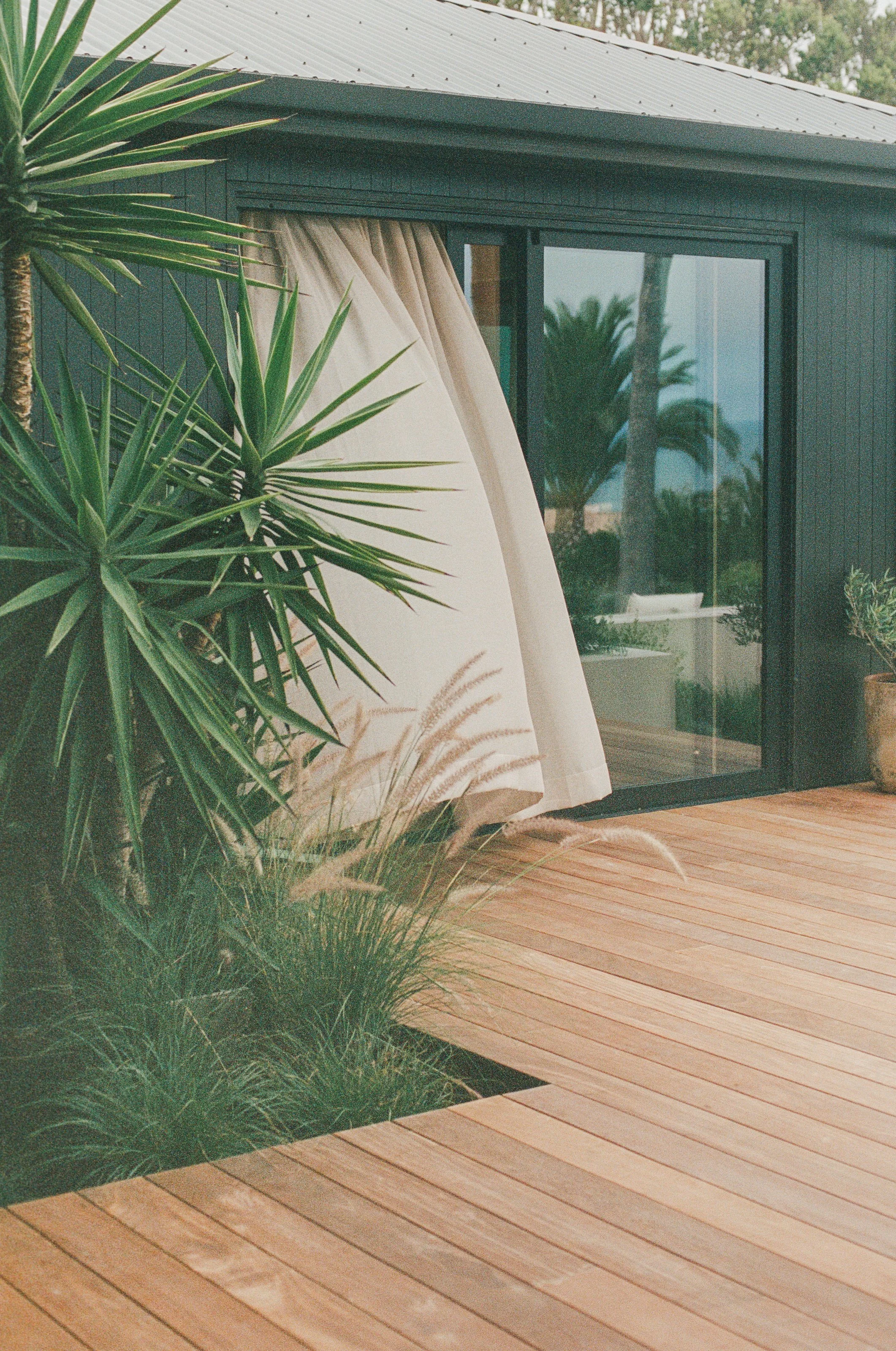 Garden planting and sliding doors beside the deck