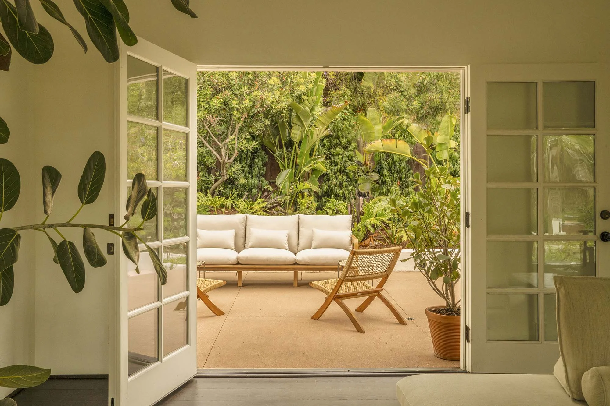 PL6014-016-living-room-french-doors-patio-view-fiddle-leaf.jpg