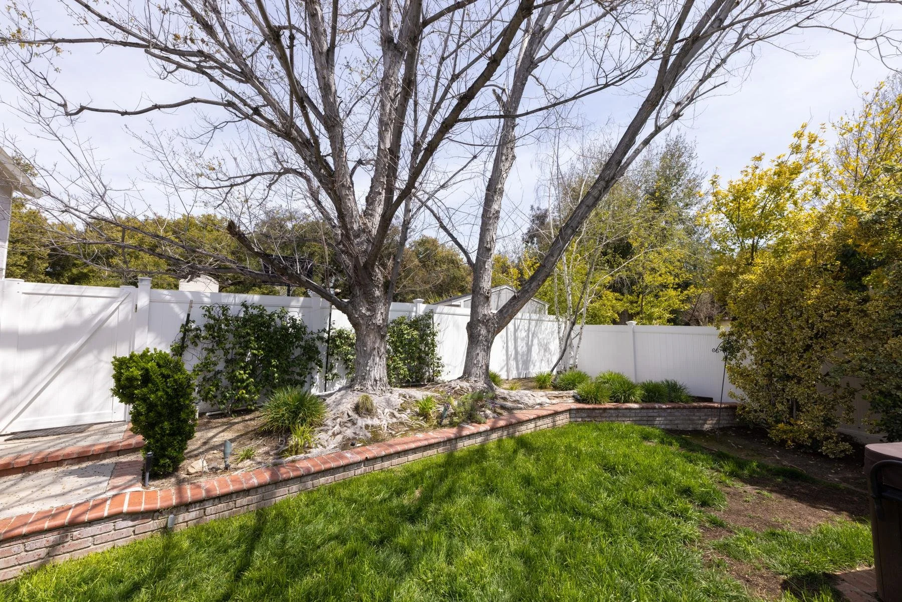 047-sand-canyon-garden-tree-and-planters.jpg