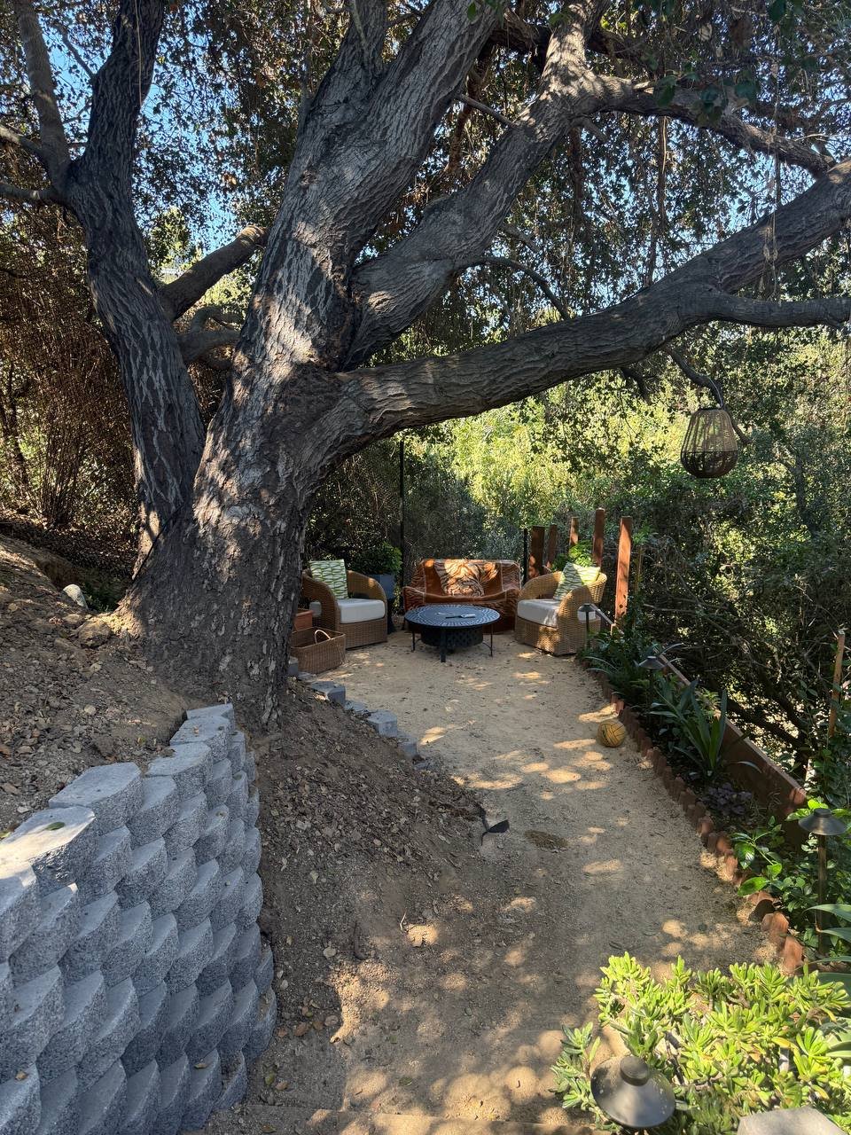 04_patio-tree.jpg