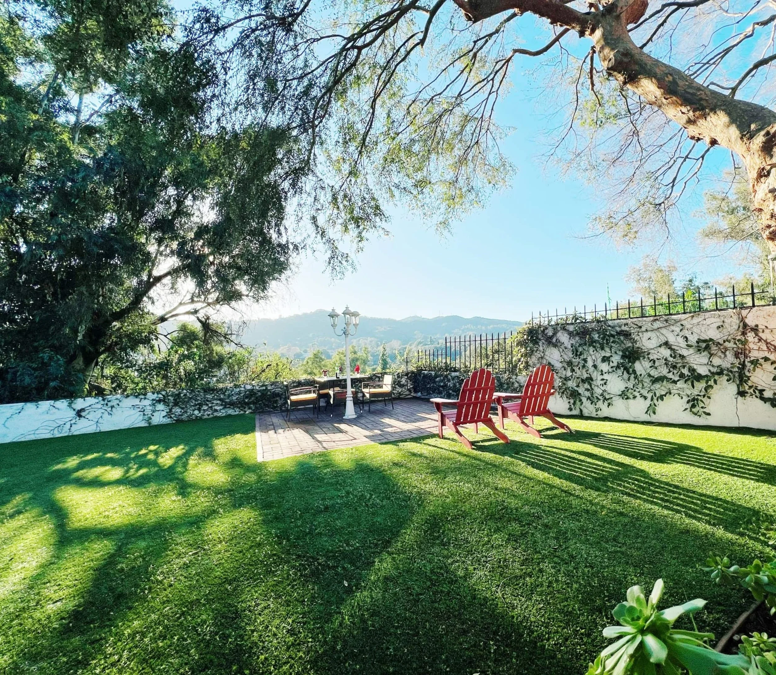 PL4102-033-garden-lawn-in-sunlight.jpg