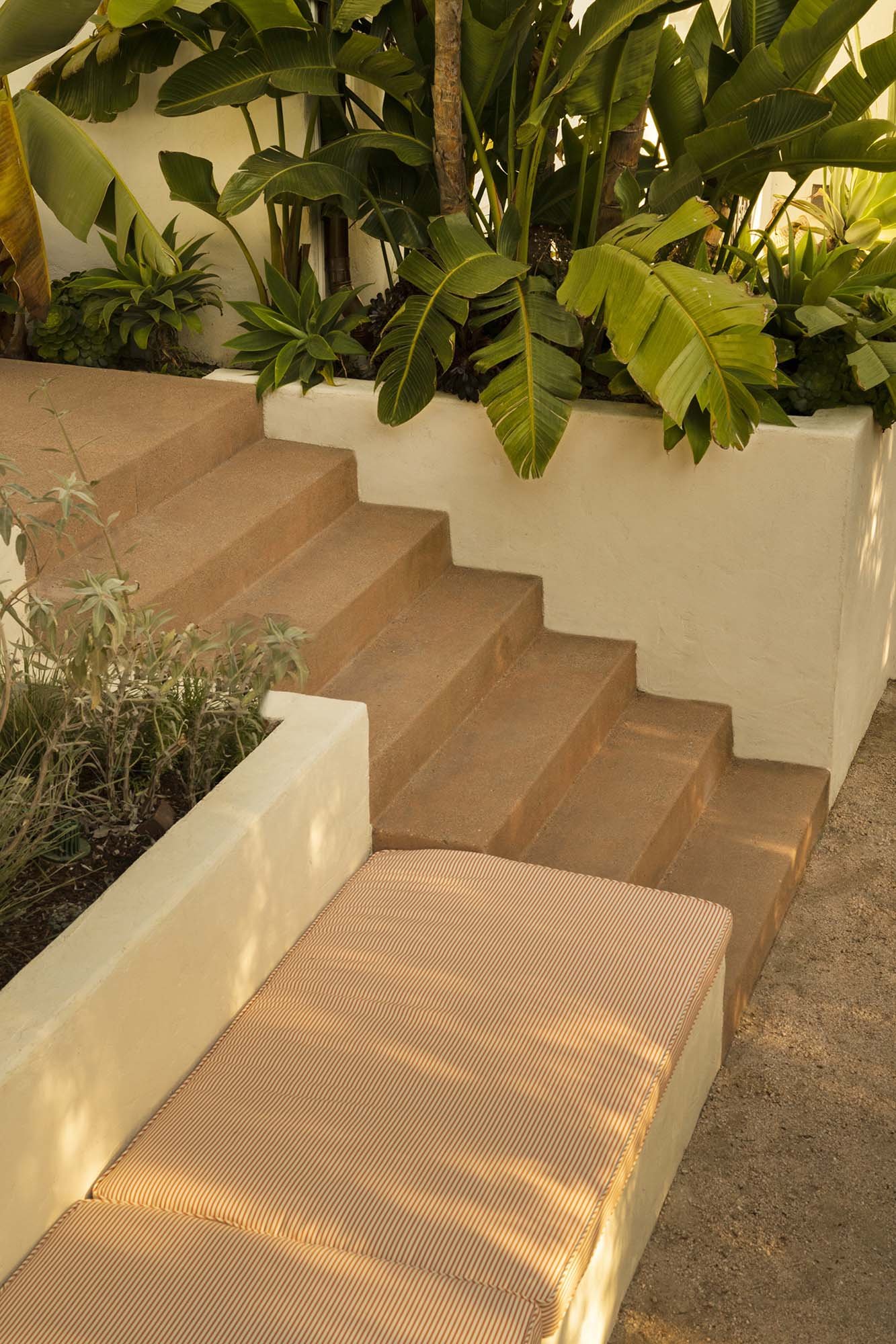 PL6014-010-garden-steps-white-planters-bird-of-paradise.jpg