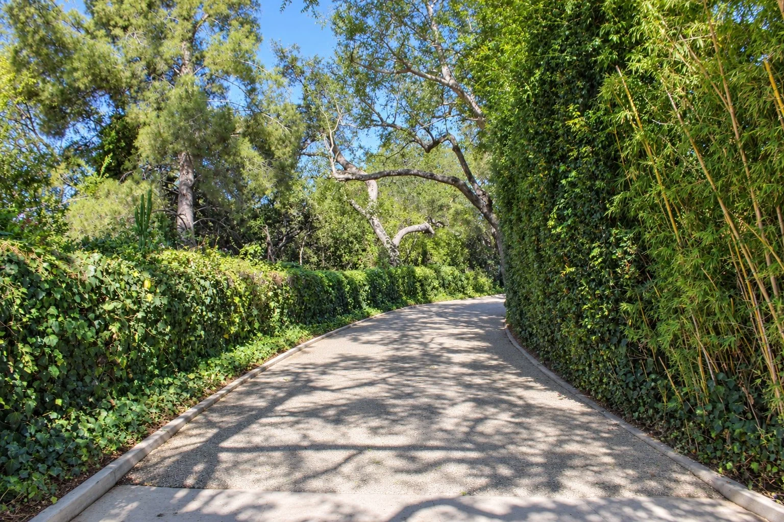 69_PL-4107_tree-lined-drive.jpg