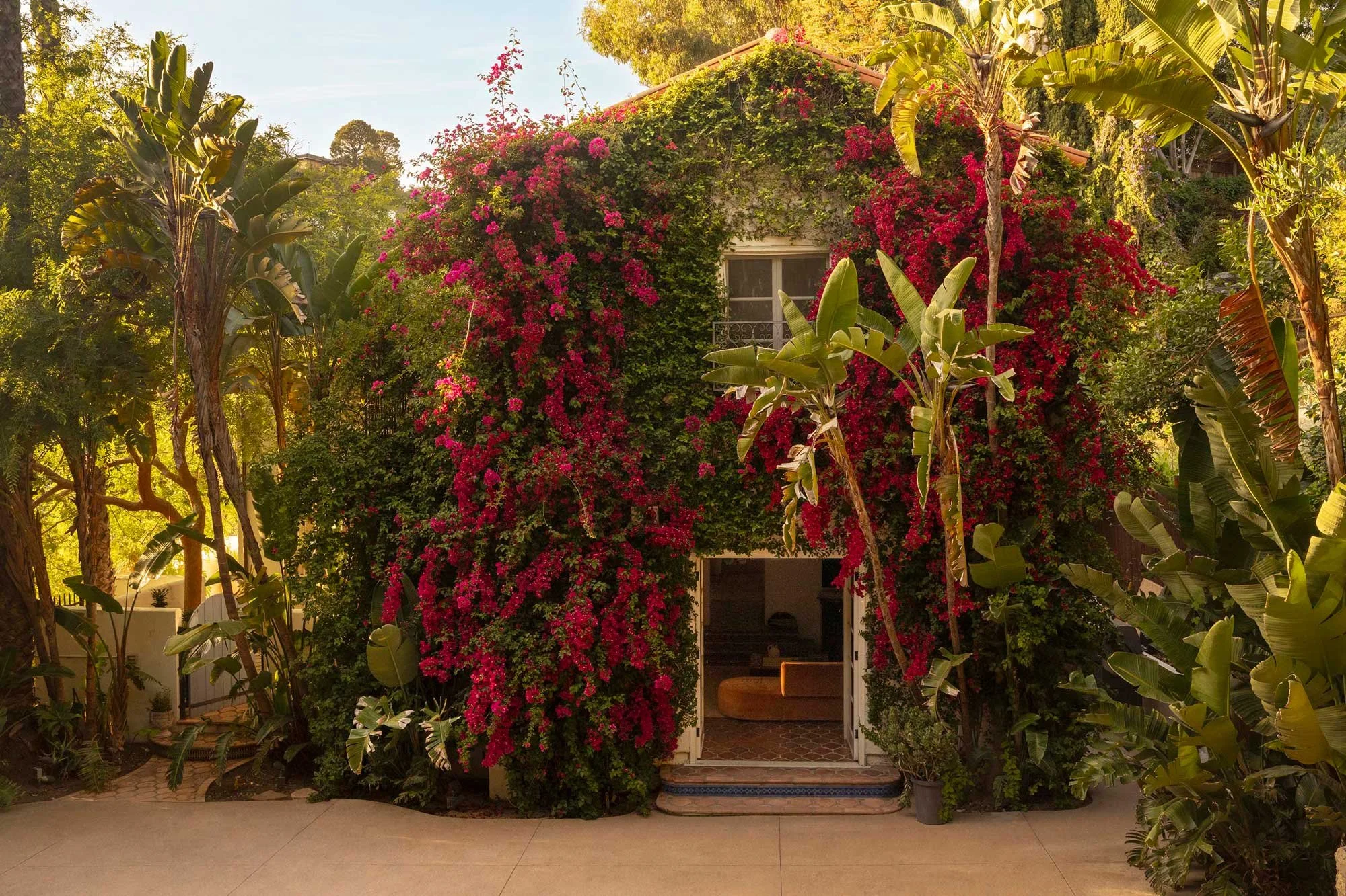 PL6014-005-front-facade-bougainvillea-front-door-tropical-garden.jpg
