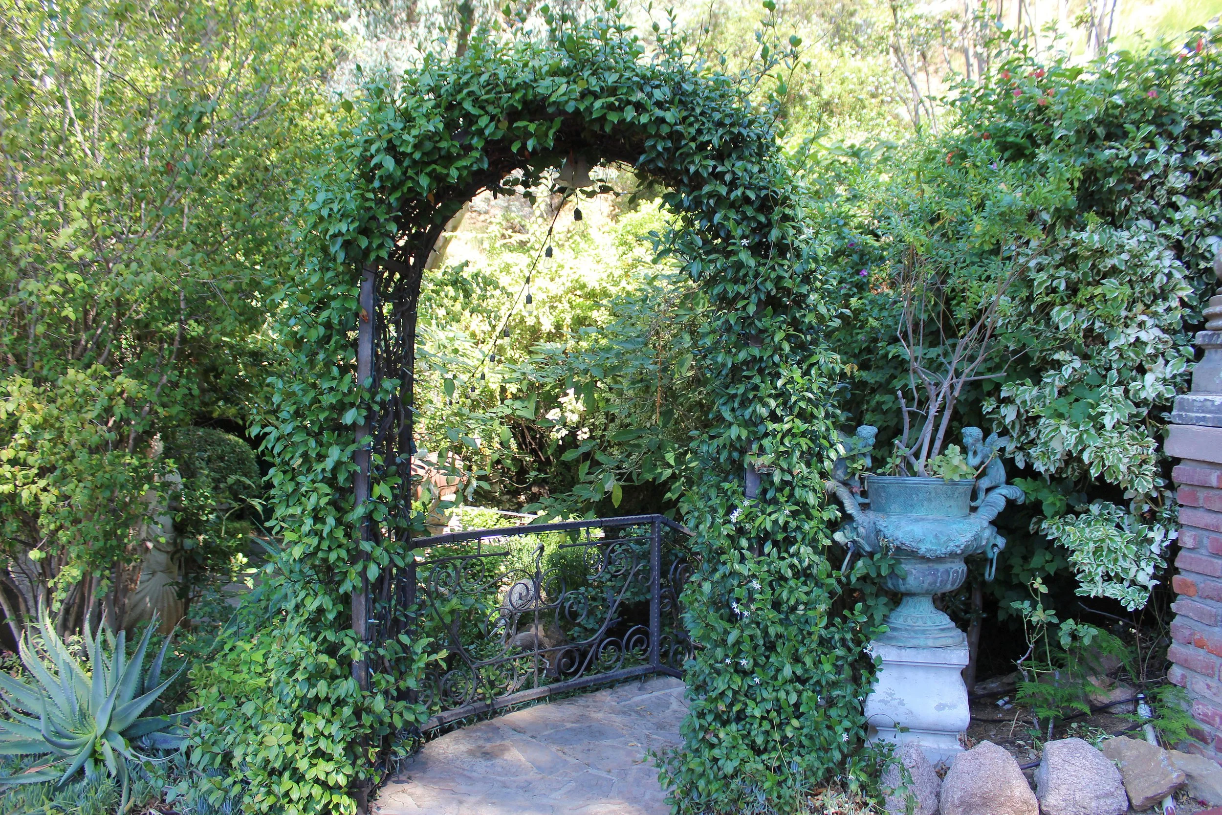 18_PL-3802_ivy-arch.jpg