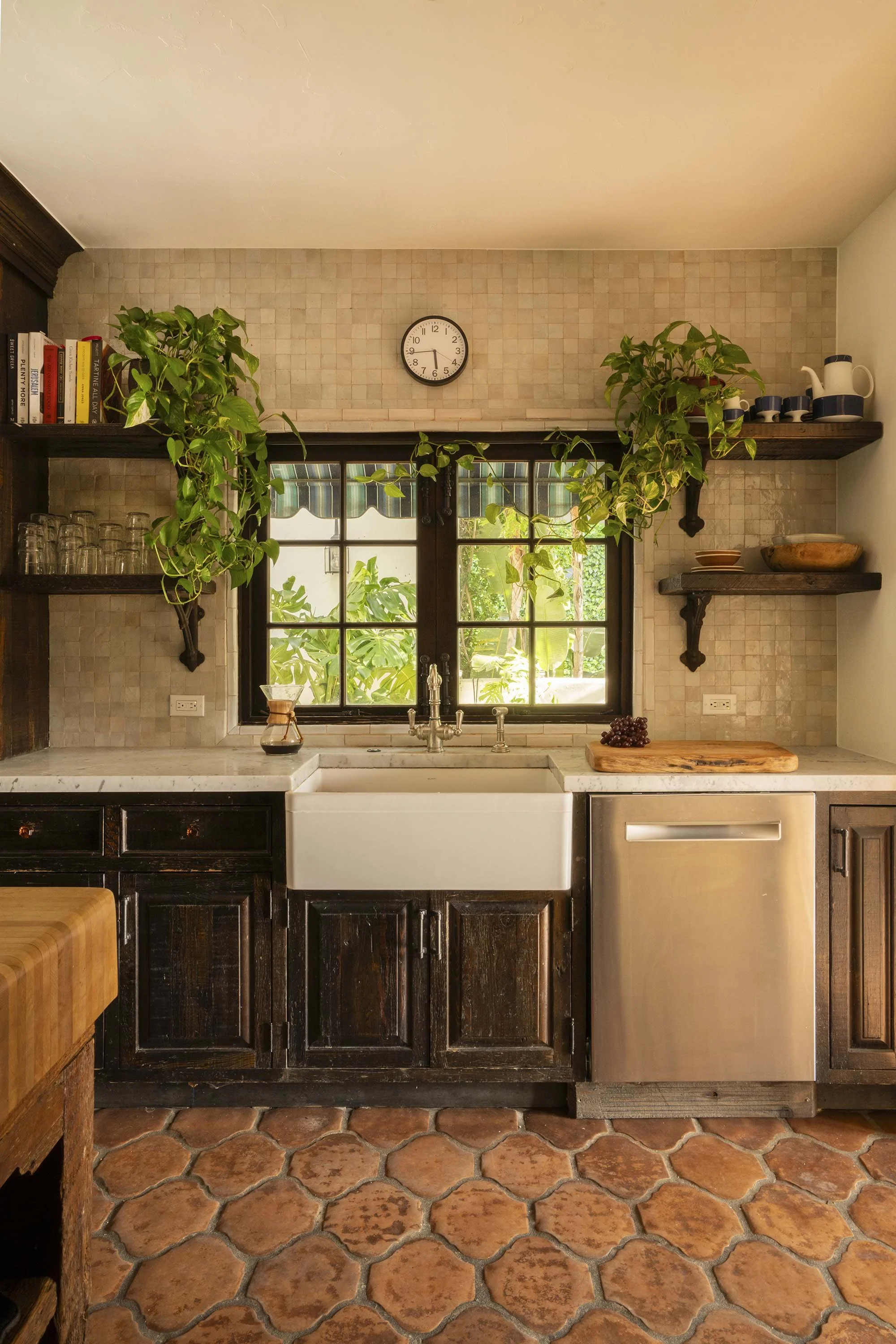 PL6014-023-kitchen-farmhouse-sink-trailing-plants-hex-tile-vertical.jpg