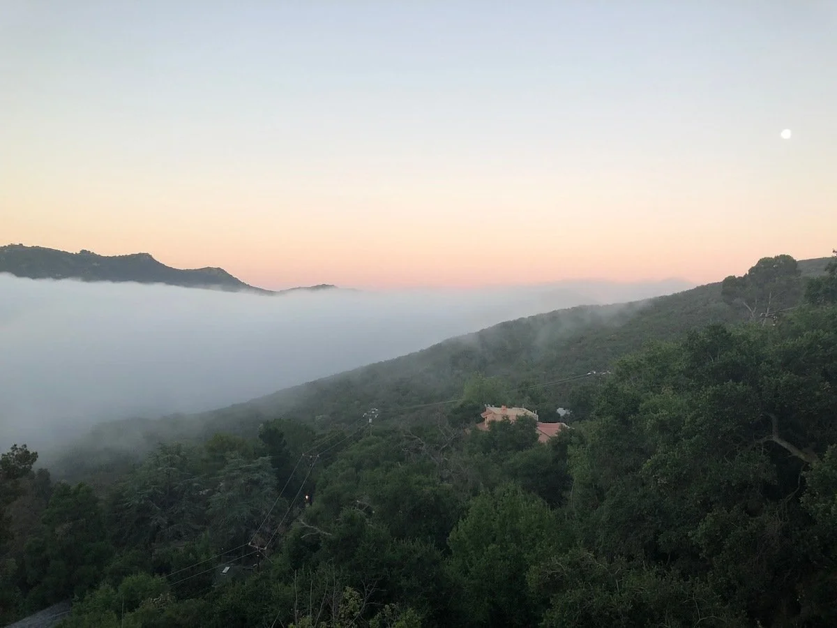 PL-1505-topanga-treetop-guesthouse-006.jpg