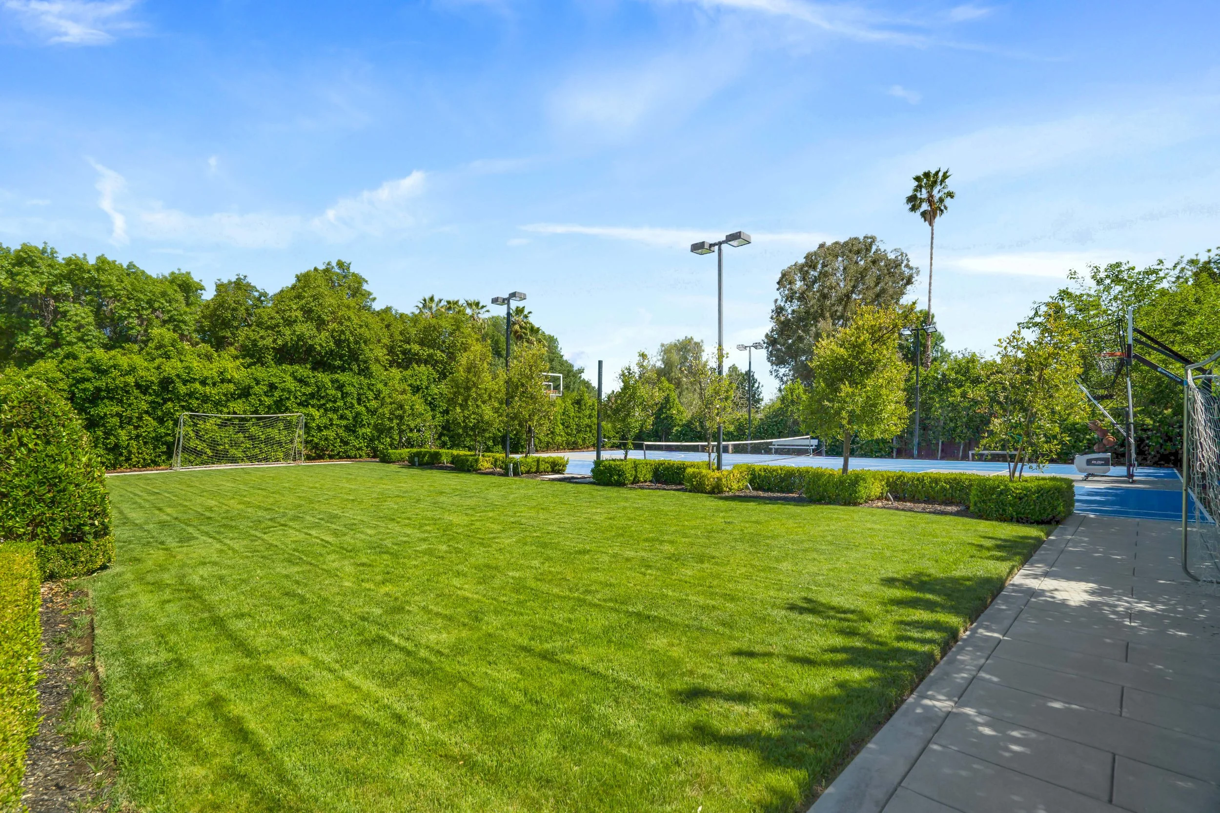 Collins-44-grass2.jpg