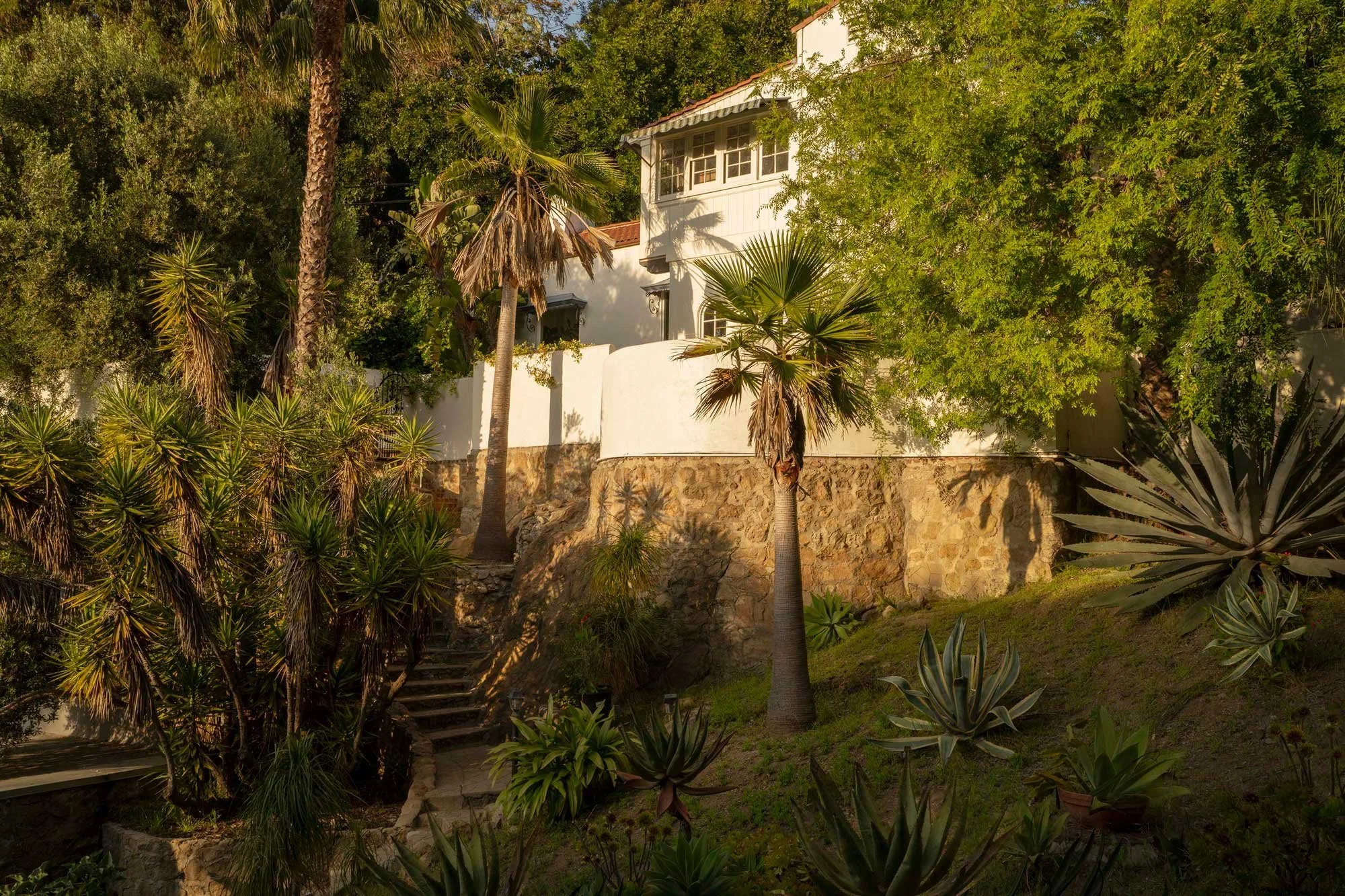 PL6014-006-hillside-exterior-palms-agaves-stone-wall.jpg